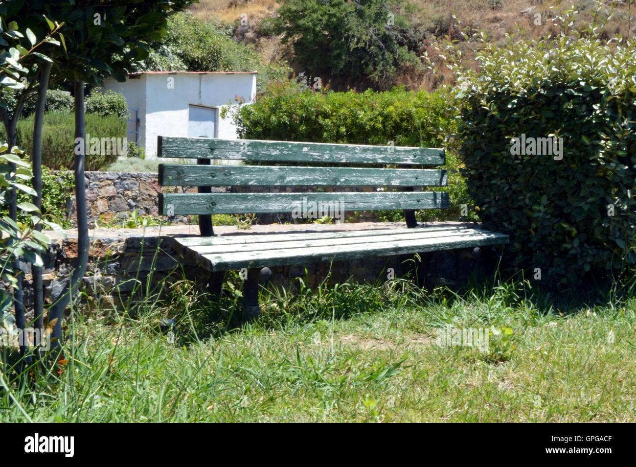 Un banc dans un jardin à l'ombre d'un arbre. Banque D'Images