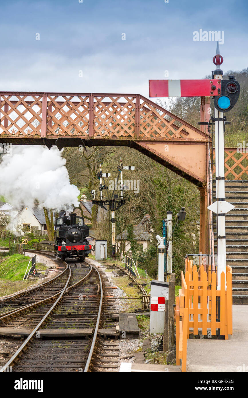 Ex-GWR loco 1369 réservoir pannier à Ashburton station sur le chemin de fer du sud du Devon, England, UK Banque D'Images