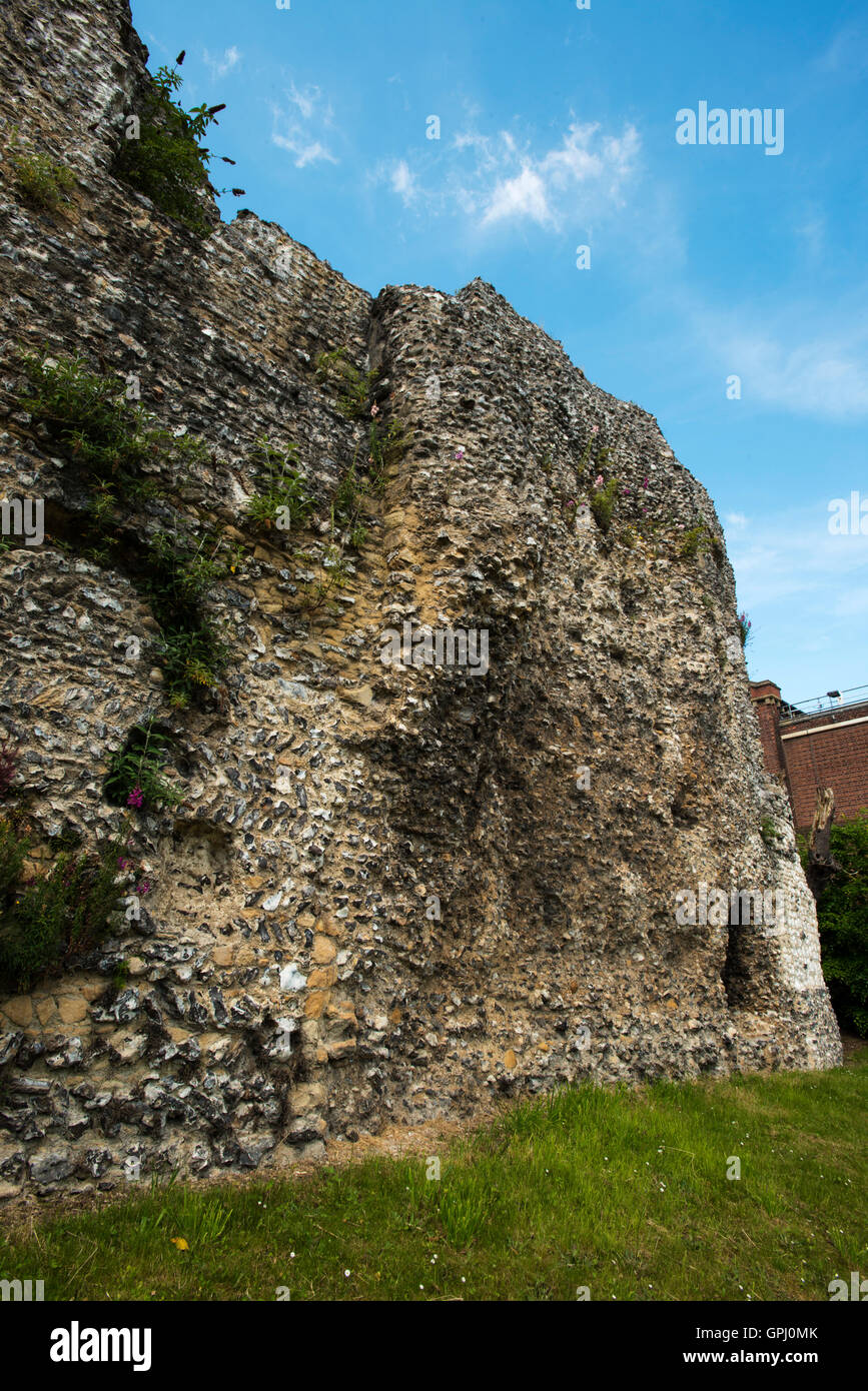 Ruines de Reading Abbey Banque D'Images