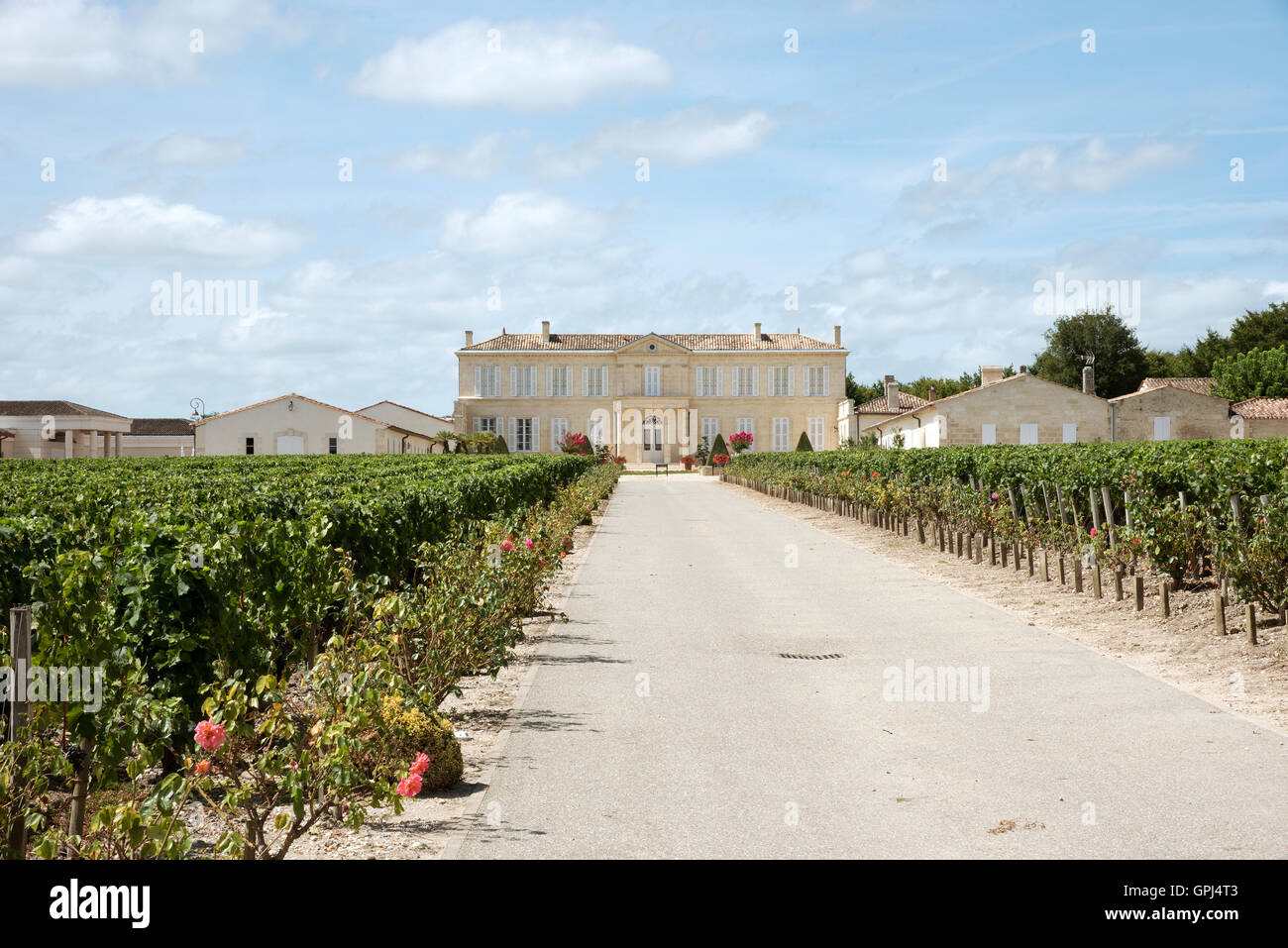 Saint Julien Bordeaux France. Chateau Branaire Ducru et vignes en Saint Julien situé le long de la route des vins du Médoc Banque D'Images