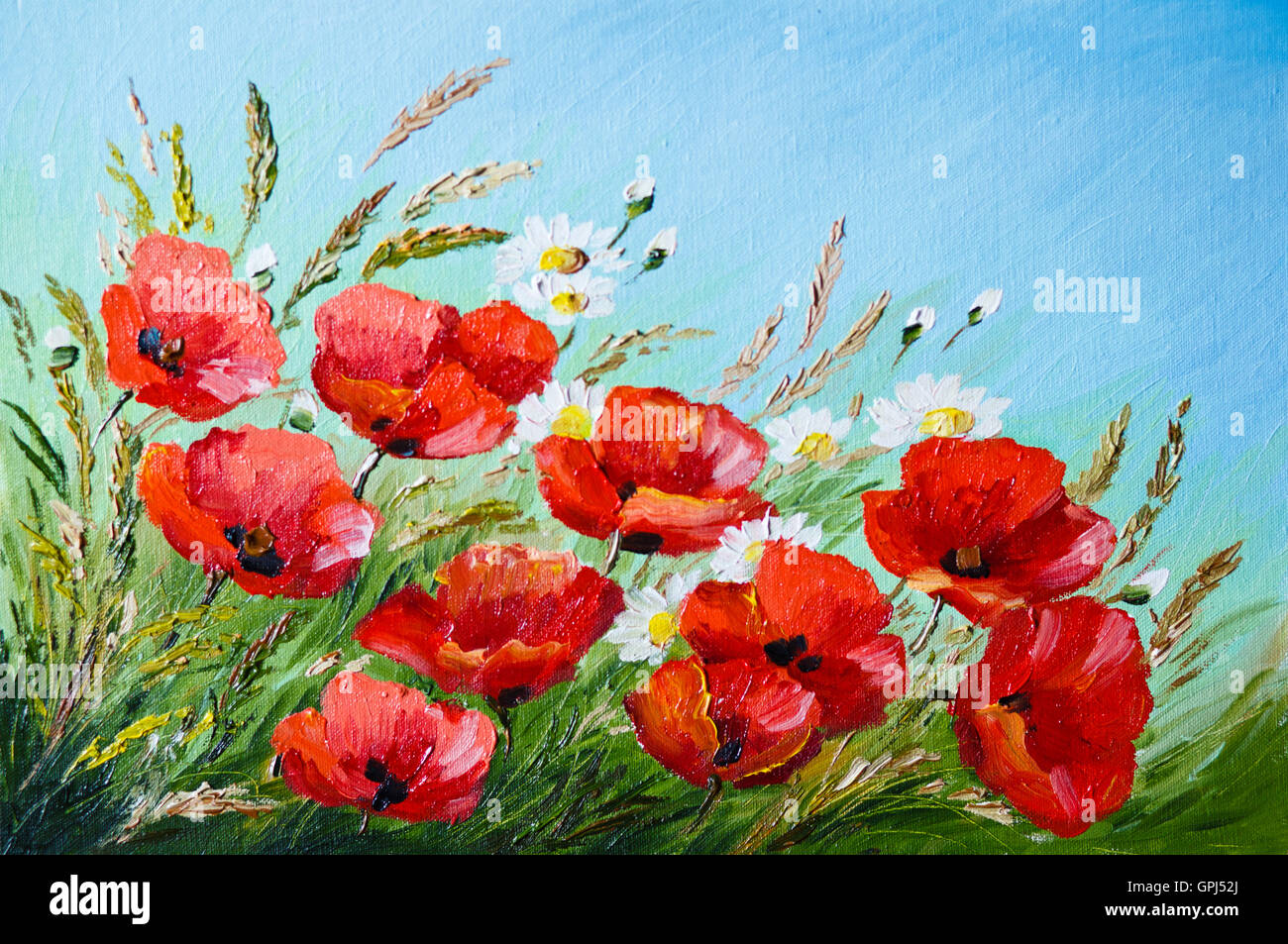 Huile sur toile de coquelicots dans le champ, fleurs, printemps Banque D'Images