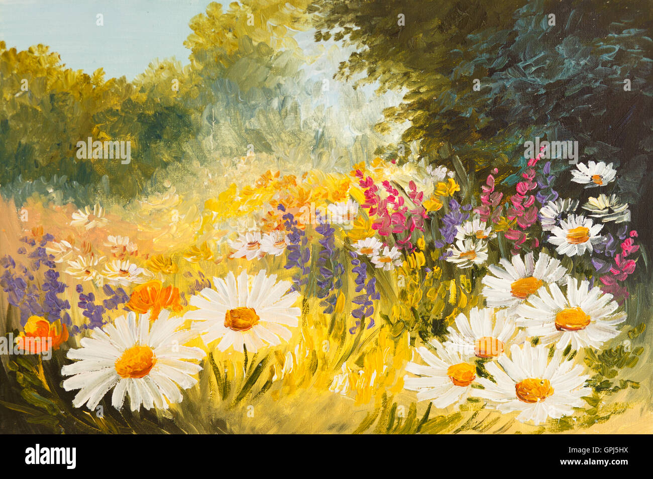 Peinture à l'huile - domaine des marguerites. dessin d'art colorées, l'arrière-plan, papier peint, décoration, arbre Banque D'Images