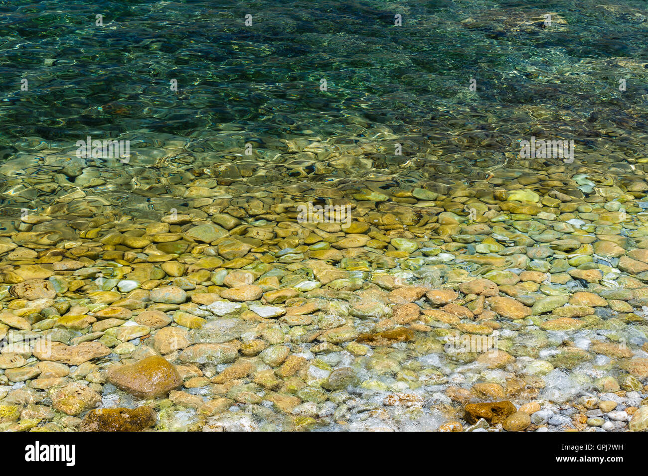 L'eau de mer et des cailloux une texture de fond naturel vert, reflétant au soleil, sélectionnez Vue avec une grande profondeur de champ Banque D'Images
