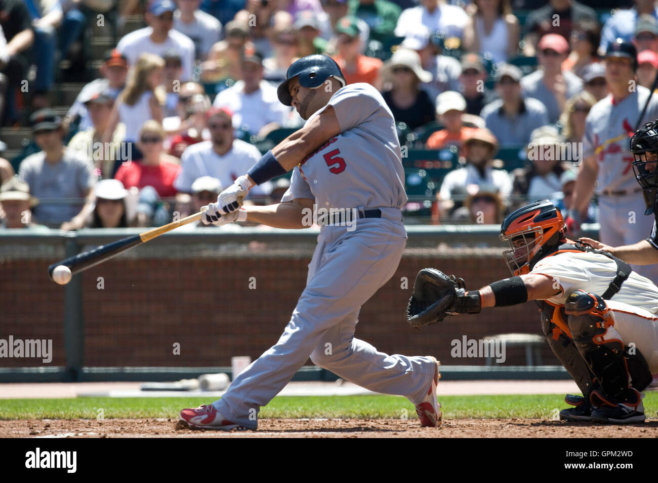 25 avril 2010 ; San Francisco, CA, États-Unis; le premier joueur de base des Louis Cardinals Albert Pujols (5) à la batte lors de la troisième manche contre les Giants de San Francisco à AT&T Park. Louis a battu San Francisco 2-0. Banque D'Images