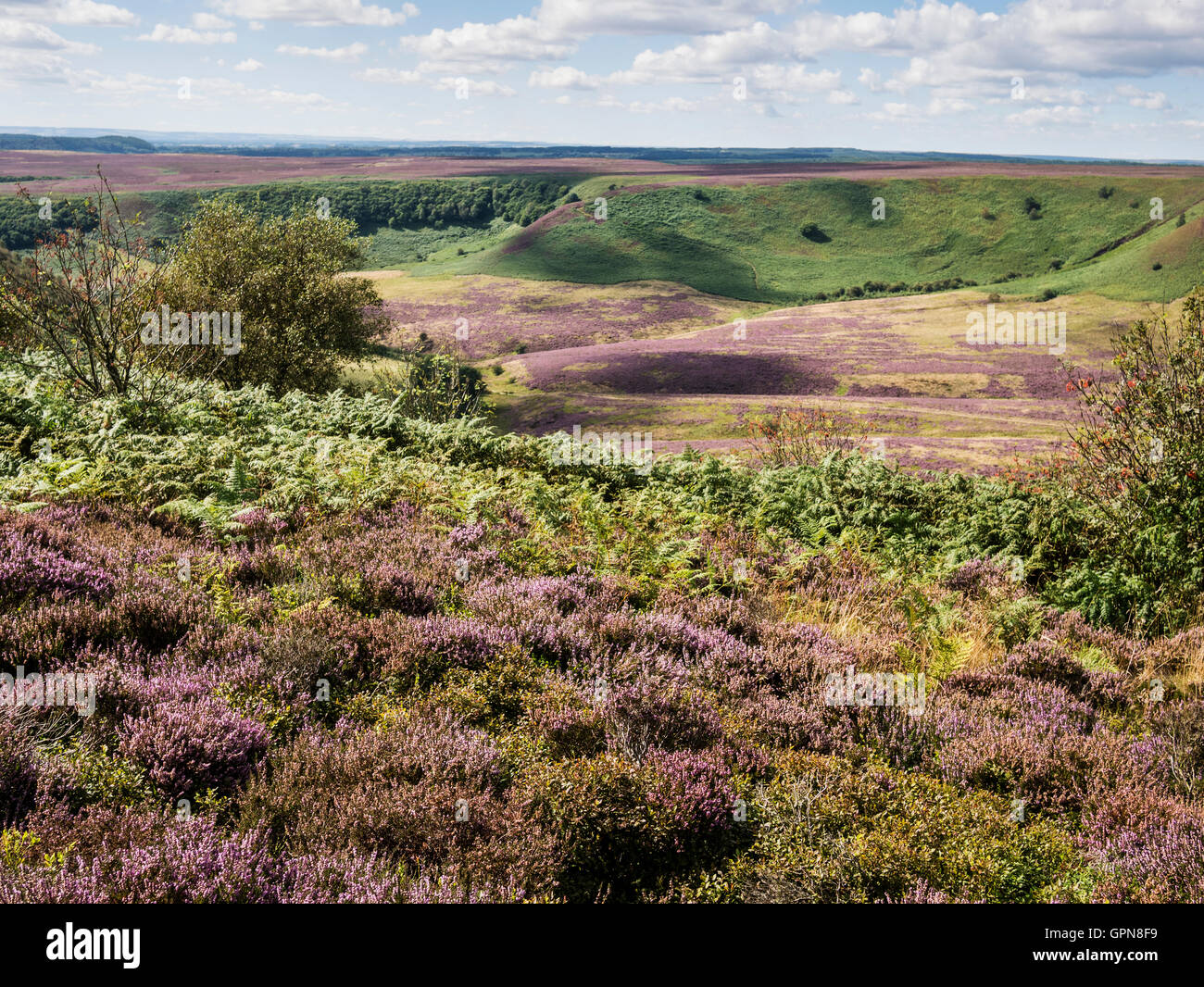 Trou de Horcum North York Moors National Park au Royaume-Uni temps Heather Banque D'Images