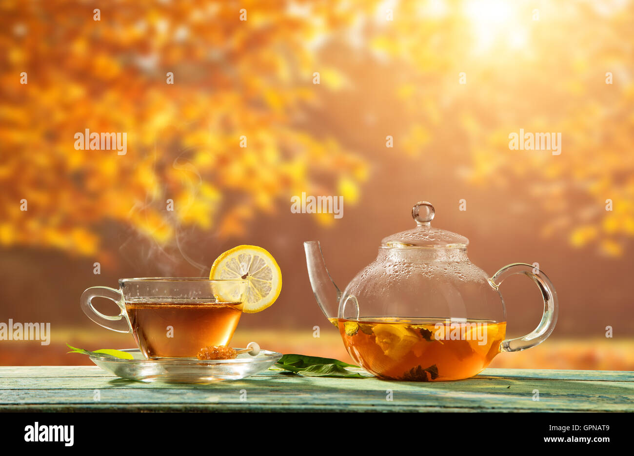 Autumn still life with tea cup sur planches en bois et arbres en arrière-plan flou Banque D'Images