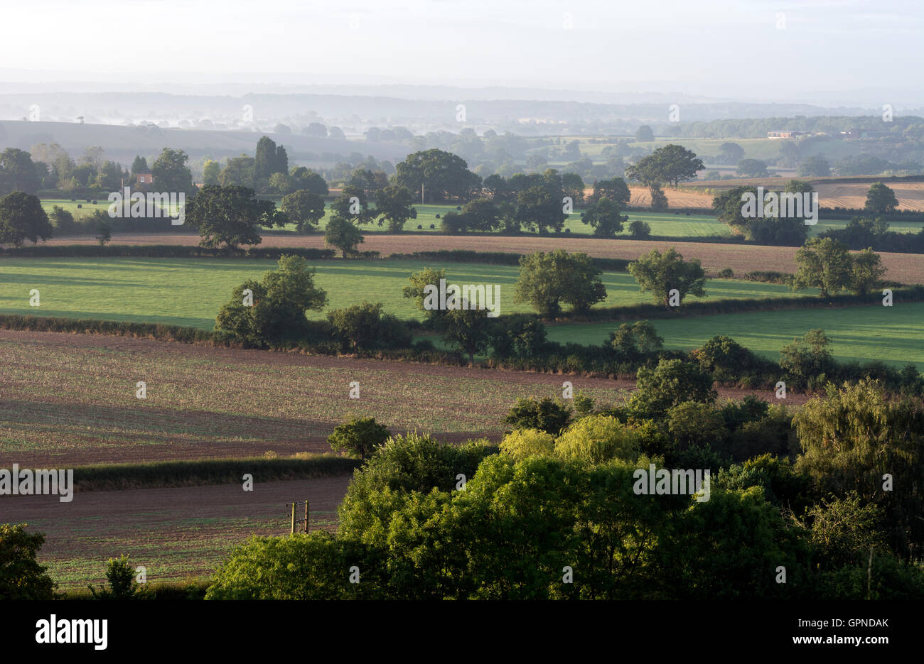 Paysage au petit matin de Habury churchyard, Worcestershire, Royaume-Uni Banque D'Images