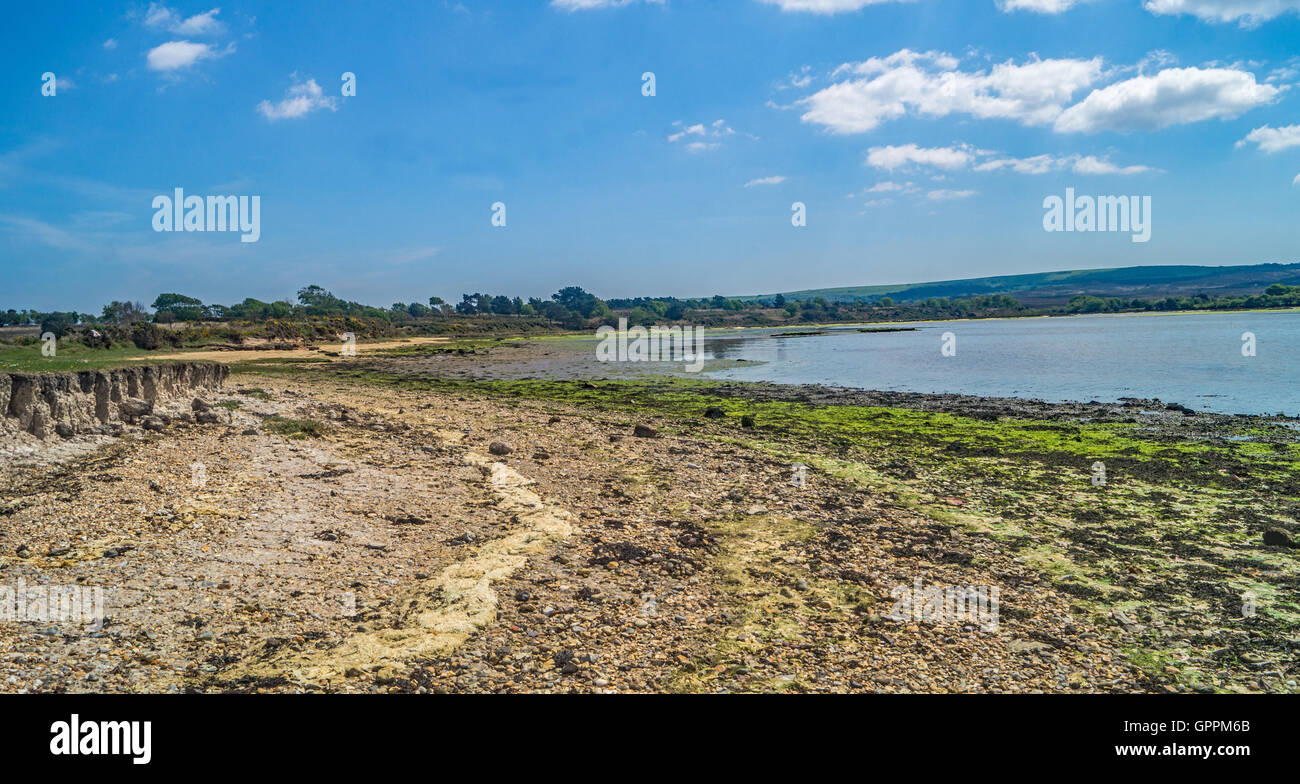 Une vue le long du littoral du Dorset, sandbanks beach des zones humides avec la marée out.un calme quartier paisible et tranquille. Banque D'Images