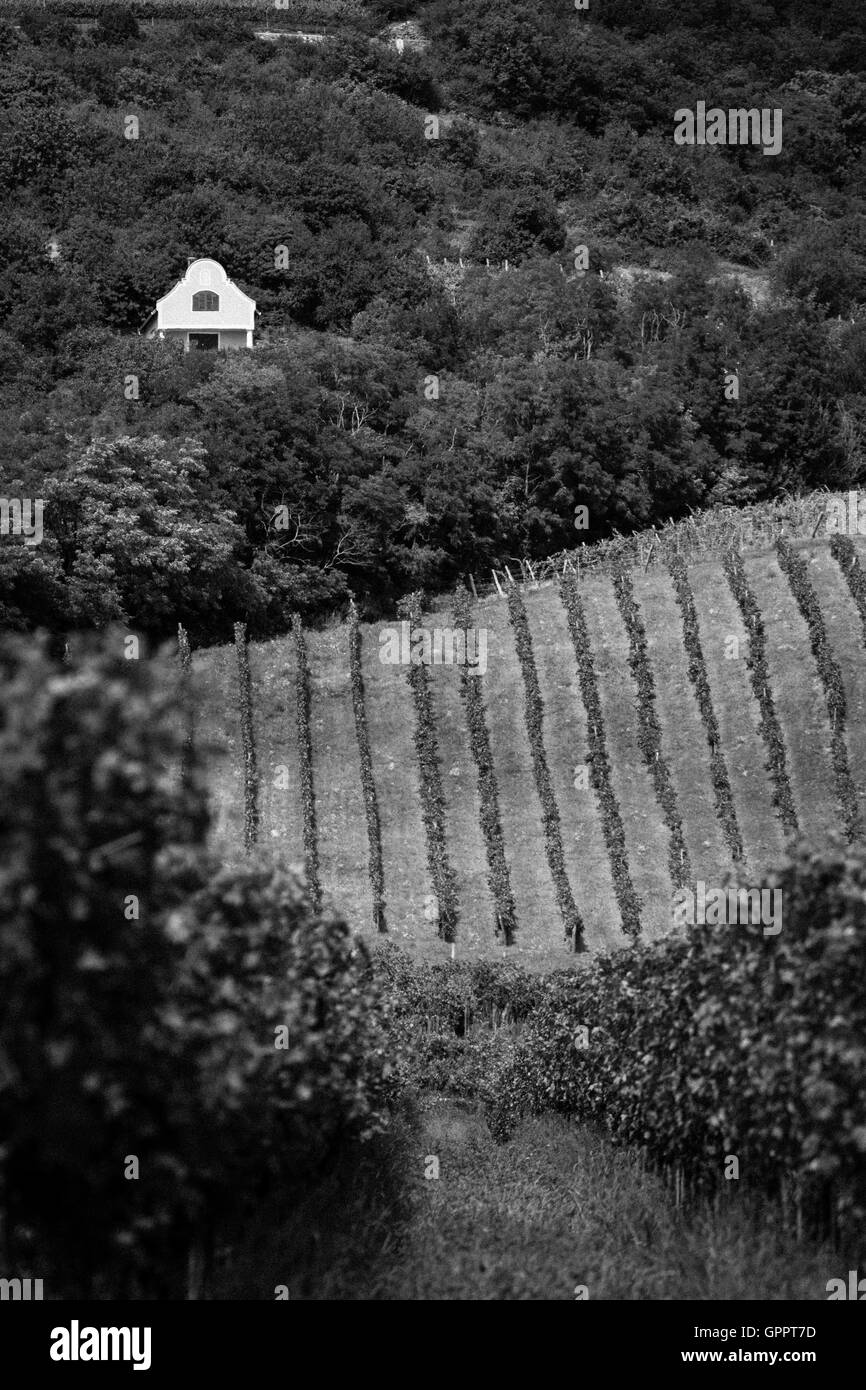 Plateau du balaton Banque de photographies et d’images à haute