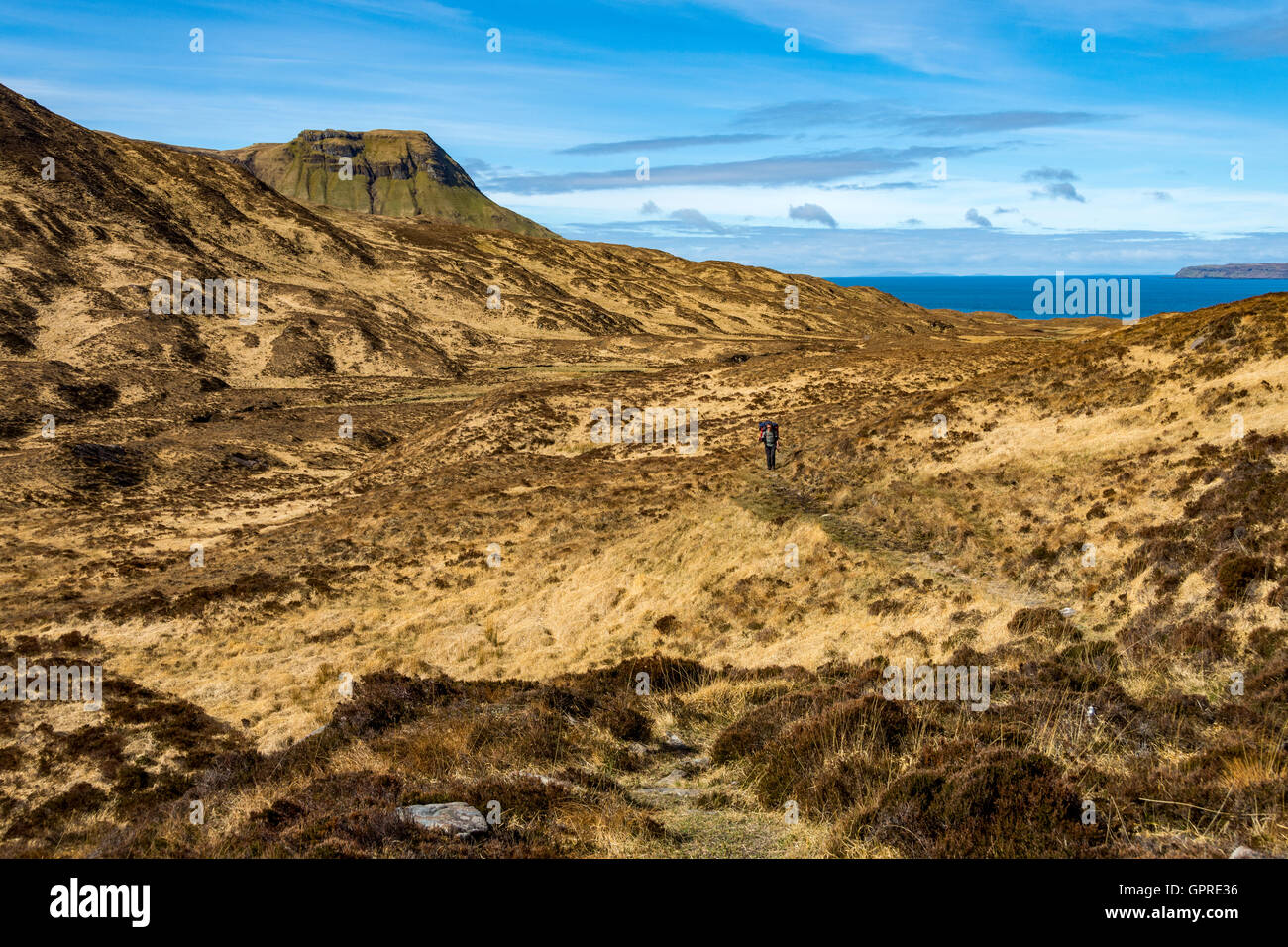 Un Shellesder avec Glen walker dans Bloodstone Hill juste à gauche du centre, à l'île de Rum, Ecosse, Royaume-Uni. Banque D'Images