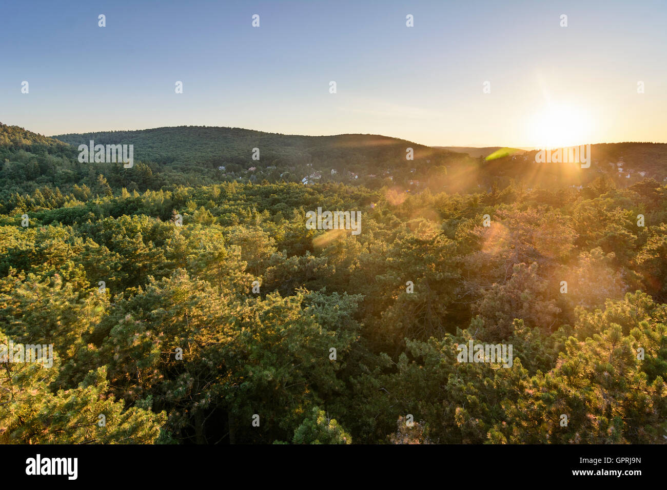 Vue de l'Sörhazdombi kilato tour de montagnes Sopron en Sopron (Ödenburg), Hongrie Banque D'Images