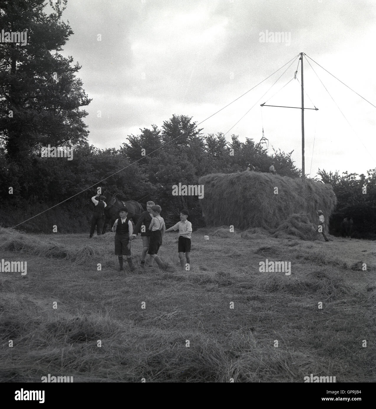 Années 1930, historique, groupe de jeunes garçons jouer dehors dans un domaine comme le foin est recueillie par un système de corde et poulie sur une ferme près de Nymet Tracy, Devon, Angleterre. Banque D'Images