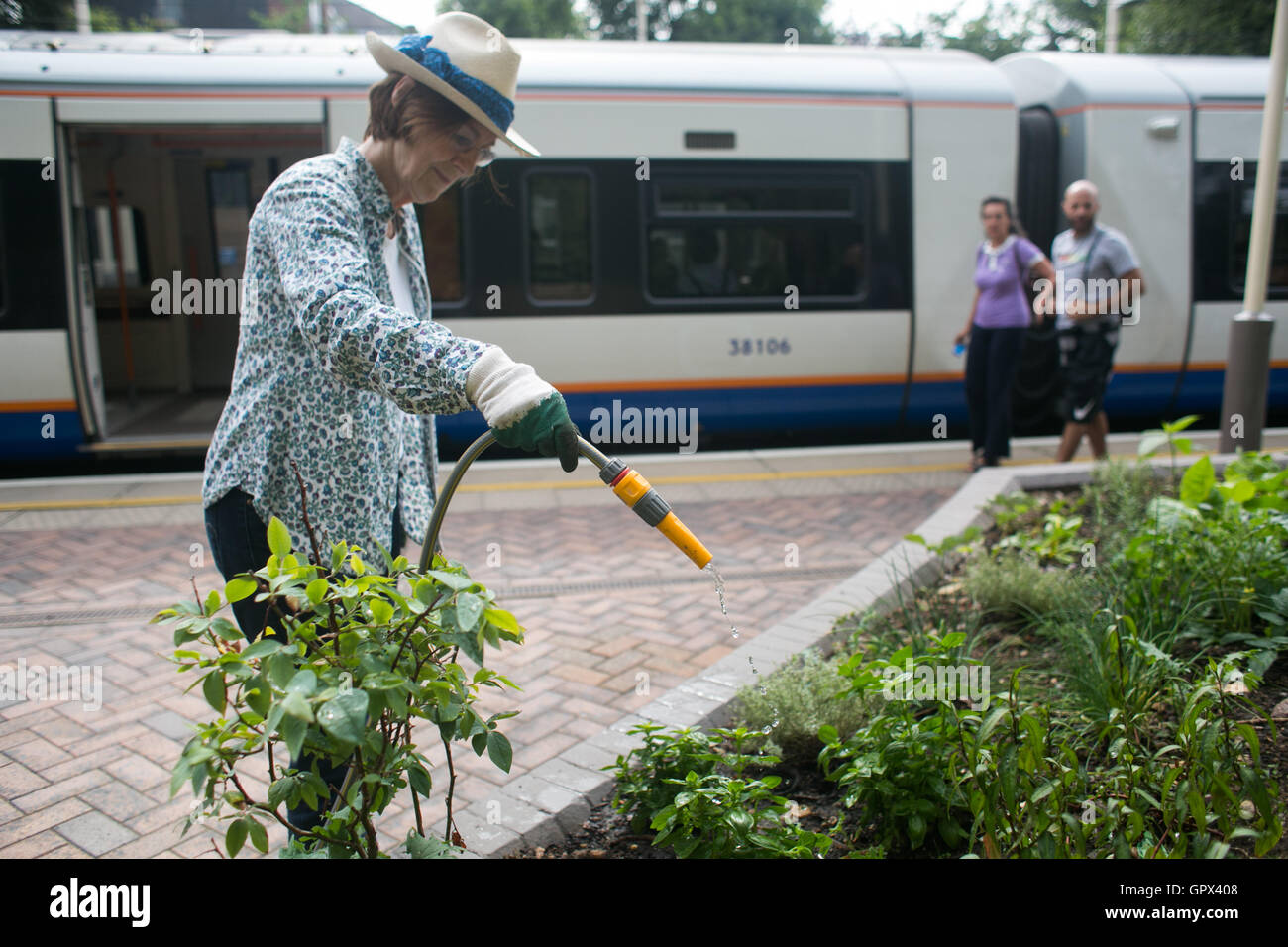 Shelagh Molloy, un résident local à Brondesbury Park d'affectation met en quelques heures de travail dans le jardin de l'énergie nouvellement terminé, w Banque D'Images