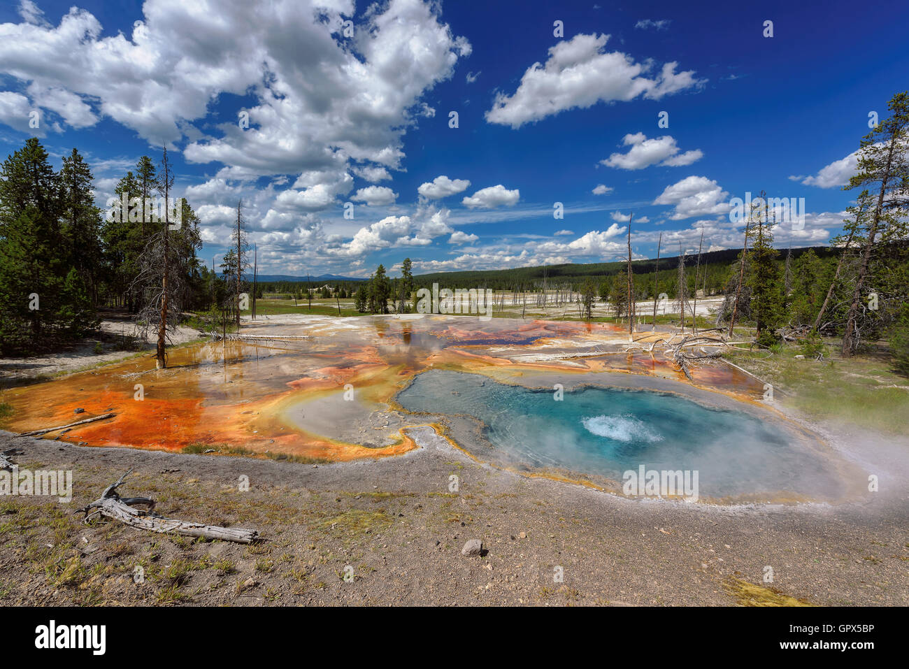 L'éruption du geyser dans le Parc National de Yellowstone, Wyoming, USA Banque D'Images