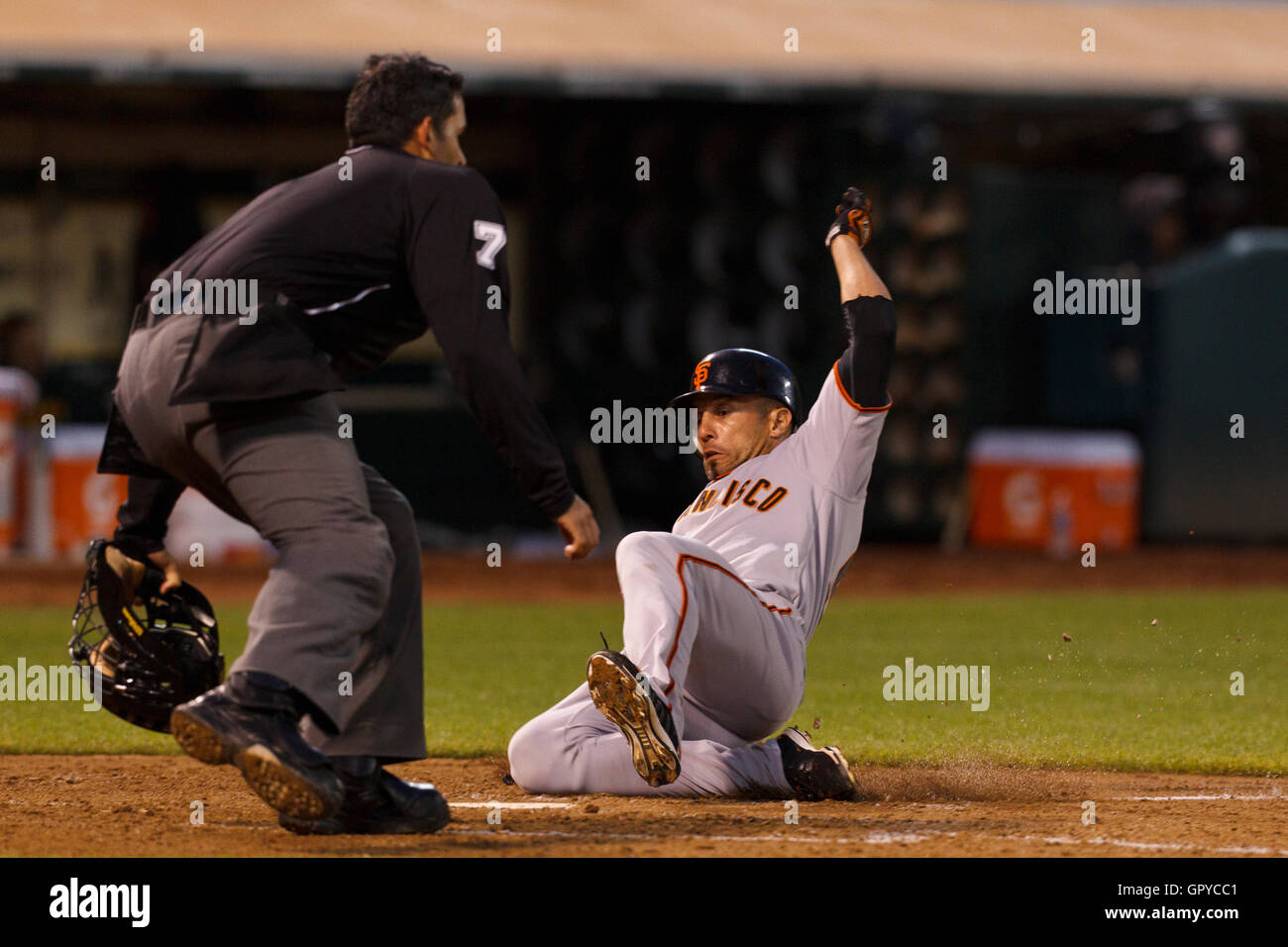 18 juin 2011, Oakland, CA, USA ; San Francisco Giants center fielder Andres Torres (56) glisse dans la maison en face du juge-arbitre MLB Manny Gonzalez (79) pour marquer une course contre les Athletics d'Oakland au cours de la cinquième manche à l'O.co Coliseum. Banque D'Images