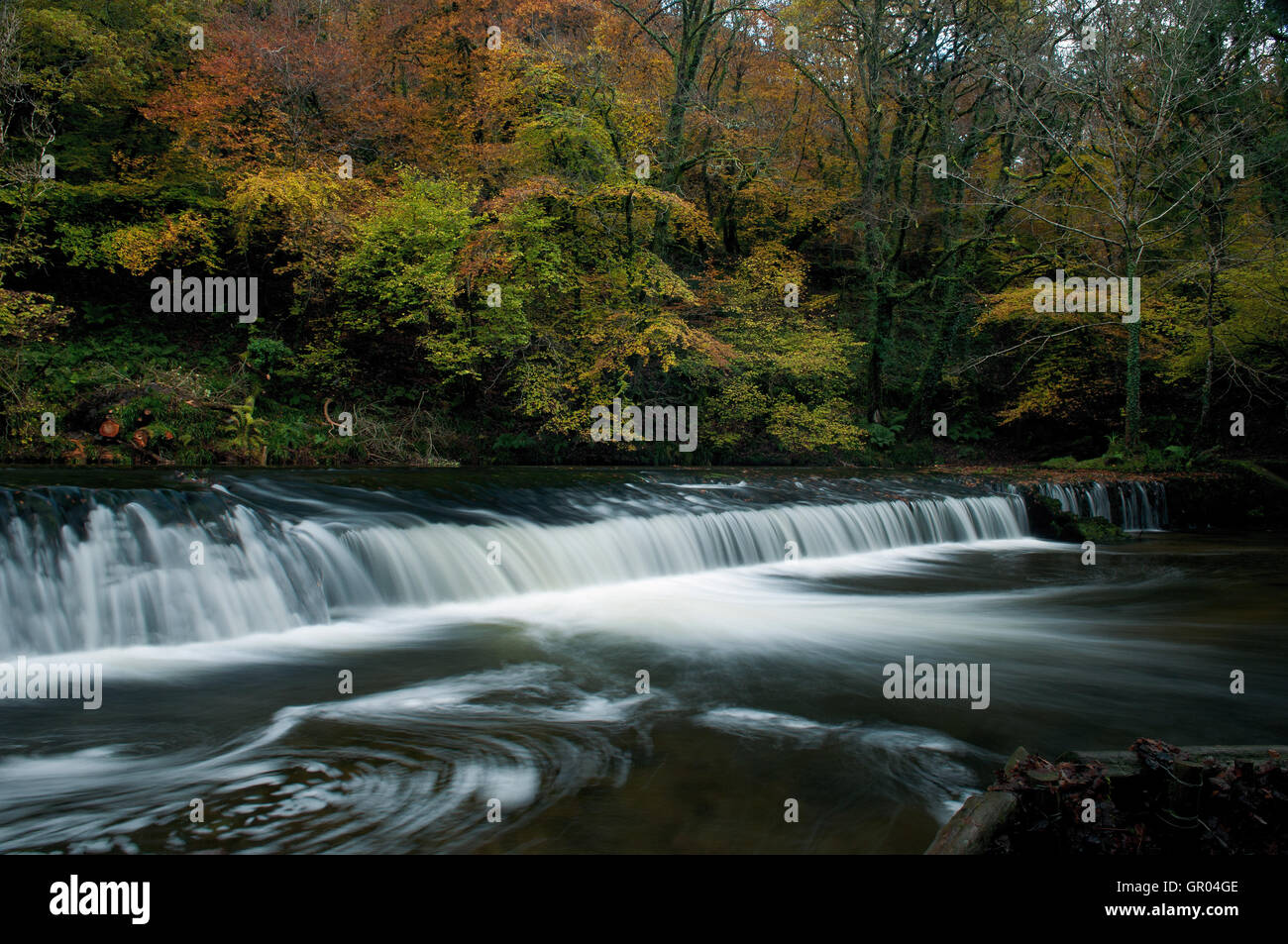 Plymbridge Weir, Plymouth Banque D'Images