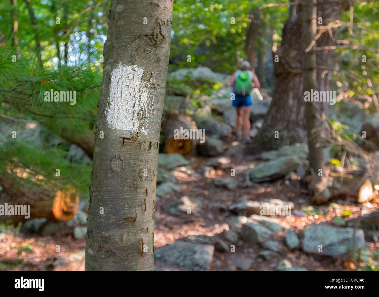 Appalachian Trail Blaze avec randonneur dans les roches d'escalade d'arrière-plan Banque D'Images