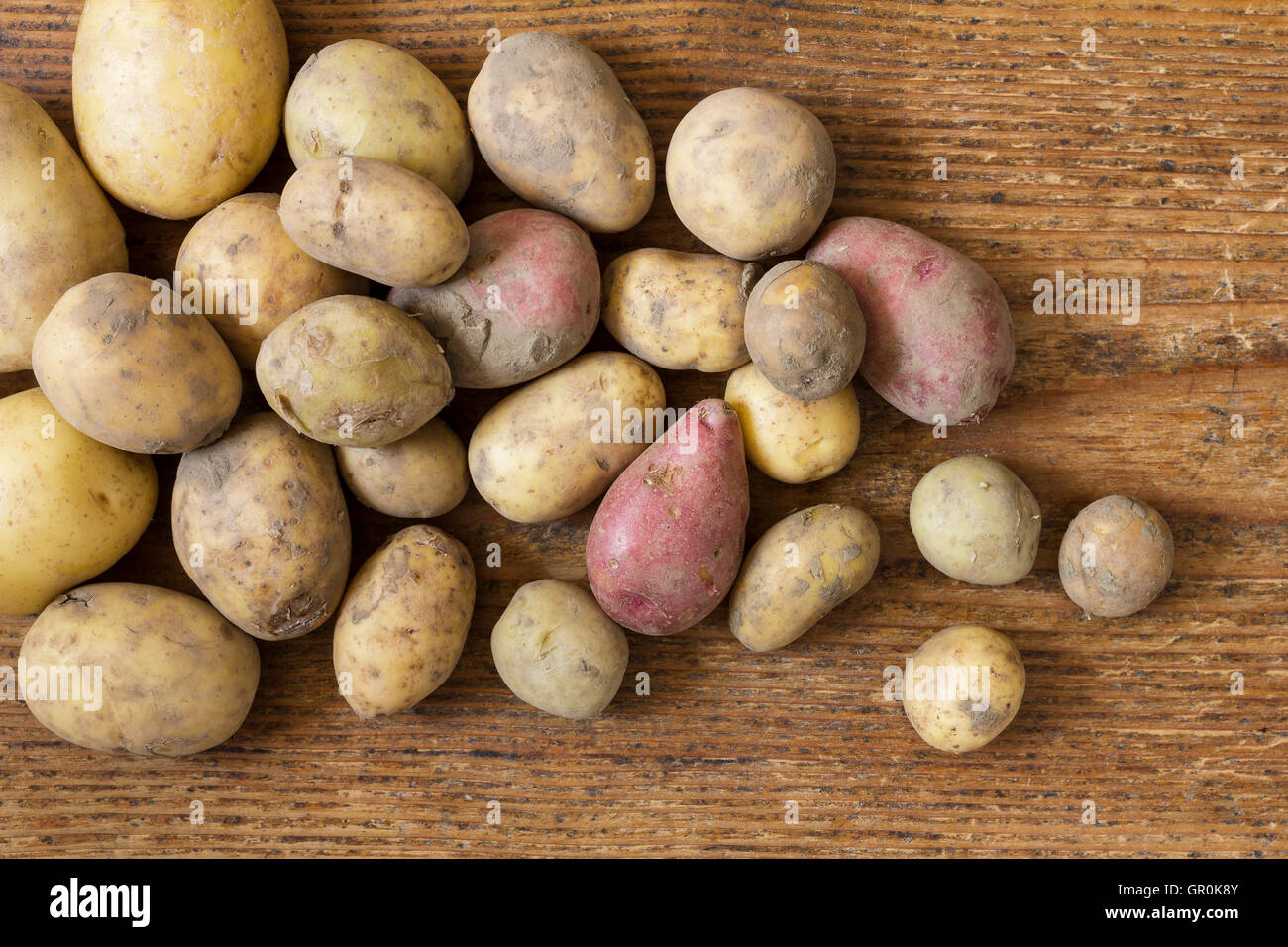 Divers Les pommes de terre biologiques comme une vie pour toujours en bonne santé et la nourriture végétarienne comme image d'arrière-plan Vue de dessus pour Thanksgiving Banque D'Images