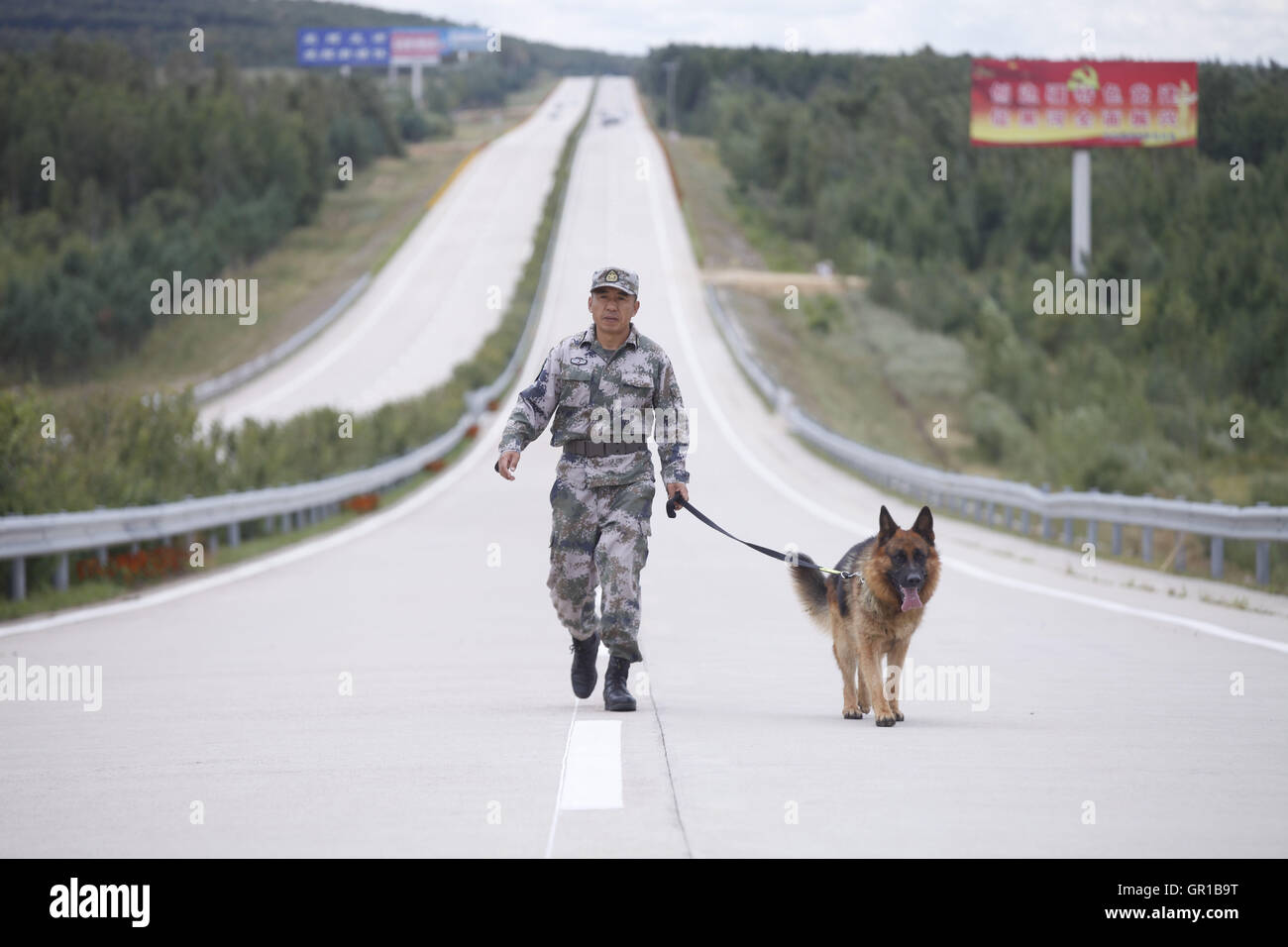 Dalian, Dalian, Chine. Sep 6, 2016. Dalian, Chine- ?6 Septembre 2016 : ?(EDITORIAL ?utiliser ?SEULEMENT. ?CHINE ?OUT) .Zhang Xiaolin, un soldat dans le nord-est de la Chine Â.s la province de Heilongjiang, a formé les chiens militaires pendant 23 ans. Comme un soldat expérimenté, Zhang a formé plus de 20 chiens militaires et formé plus de 2 000 soldats dans l'armée. © SIPA Asie/ZUMA/Alamy Fil Live News Banque D'Images Dalian, Dalian, Chine. Sep 6, 2016. Dalian, Chine- ?6 Septembre 2016 : ?(EDITORIAL ?utiliser ?SEULEMENT. ?CHINE ?OUT) .Zhang Xiaolin, un soldat dans le nord-est de la Chine Â.s la province de Heilongjiang, a formé les chiens militaires pendant 23 ans. Comme un soldat expérimenté, Zhang a formé plus de 20 chiens militaires et formé plus de 2 000 soldats dans l'armée. © SIPA Asie/ZUMA/Alamy Fil Live News Banque D'Images