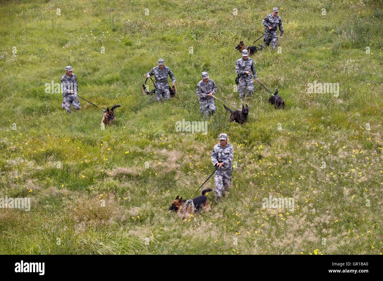Dalian, Dalian, Chine. Sep 6, 2016. Dalian, Chine- 6 septembre 2016 EDITORIAL : (UTILISER SEULEMENT. Chine OUT) .Zhang Xiaolin forme des chiens militaires avec d'autres soldats. Zhang Xiaolin, un soldat dans le nord-est de la Chine Â.s la province de Heilongjiang, a formé les chiens militaires pendant 23 ans. Comme un soldat expérimenté, Zhang a formé plus de 20 chiens militaires et formé plus de 2 000 soldats dans l'armée. © SIPA Asie/ZUMA/Alamy Fil Live News Banque D'Images Dalian, Dalian, Chine. Sep 6, 2016. Dalian, Chine- 6 septembre 2016 EDITORIAL : (UTILISER SEULEMENT. Chine OUT) .Zhang Xiaolin forme des chiens militaires avec d'autres soldats. Zhang Xiaolin, un soldat dans le nord-est de la Chine Â.s la province de Heilongjiang, a formé les chiens militaires pendant 23 ans. Comme un soldat expérimenté, Zhang a formé plus de 20 chiens militaires et formé plus de 2 000 soldats dans l'armée. © SIPA Asie/ZUMA/Alamy Fil Live News Banque D'Images