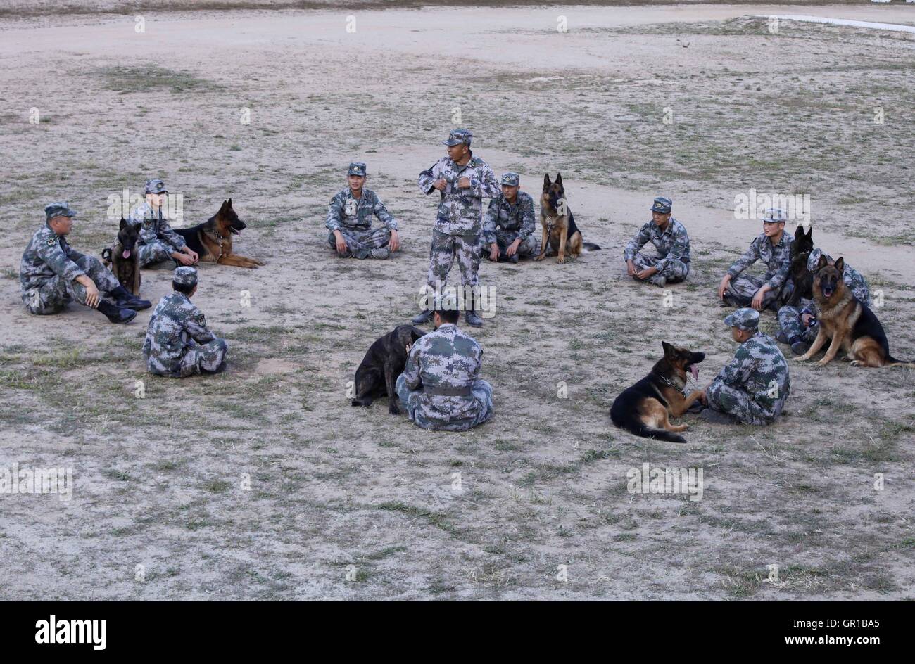 Dalian, Dalian, Chine. Sep 6, 2016. Dalian, Chine- ?6 Septembre 2016 : ?(EDITORIAL ?utiliser ?SEULEMENT. ?CHINE ?OUT) .Zhang Xiaolin, un soldat dans le nord-est de la Chine Â.s la province de Heilongjiang, a formé les chiens militaires pendant 23 ans. Comme un soldat expérimenté, Zhang a formé plus de 20 chiens militaires et formé plus de 2 000 soldats dans l'armée. © SIPA Asie/ZUMA/Alamy Fil Live News Banque D'Images Dalian, Dalian, Chine. Sep 6, 2016. Dalian, Chine- ?6 Septembre 2016 : ?(EDITORIAL ?utiliser ?SEULEMENT. ?CHINE ?OUT) .Zhang Xiaolin, un soldat dans le nord-est de la Chine Â.s la province de Heilongjiang, a formé les chiens militaires pendant 23 ans. Comme un soldat expérimenté, Zhang a formé plus de 20 chiens militaires et formé plus de 2 000 soldats dans l'armée. © SIPA Asie/ZUMA/Alamy Fil Live News Banque D'Images