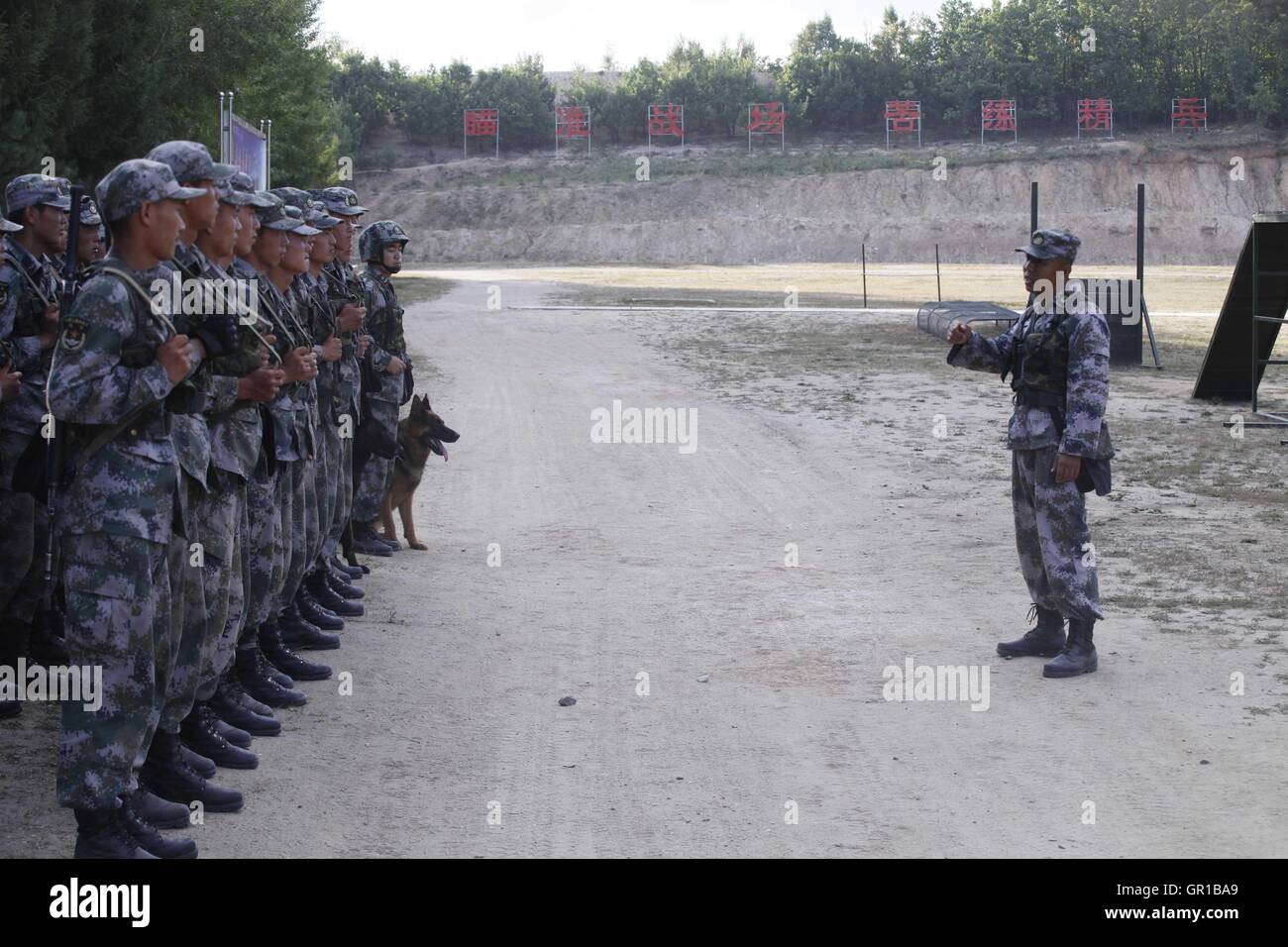 Dalian, Dalian, Chine. Sep 6, 2016. Dalian, Chine- ?6 Septembre 2016 : ?(EDITORIAL ?utiliser ?SEULEMENT. ?CHINE ?OUT) .Zhang Xiaolin, un soldat dans le nord-est de la Chine Â.s la province de Heilongjiang, a formé les chiens militaires pendant 23 ans. Comme un soldat expérimenté, Zhang a formé plus de 20 chiens militaires et formé plus de 2 000 soldats dans l'armée. © SIPA Asie/ZUMA/Alamy Fil Live News Banque D'Images Dalian, Dalian, Chine. Sep 6, 2016. Dalian, Chine- ?6 Septembre 2016 : ?(EDITORIAL ?utiliser ?SEULEMENT. ?CHINE ?OUT) .Zhang Xiaolin, un soldat dans le nord-est de la Chine Â.s la province de Heilongjiang, a formé les chiens militaires pendant 23 ans. Comme un soldat expérimenté, Zhang a formé plus de 20 chiens militaires et formé plus de 2 000 soldats dans l'armée. © SIPA Asie/ZUMA/Alamy Fil Live News Banque D'Images