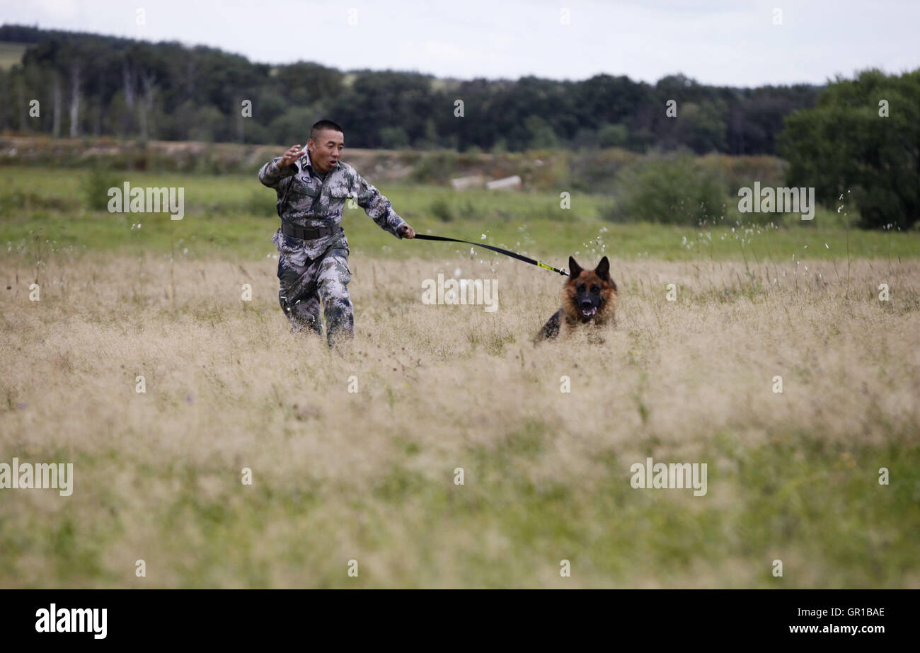 Dalian, Dalian, Chine. Sep 6, 2016. Dalian, Chine- ?6 Septembre 2016 : ?(EDITORIAL ?utiliser ?SEULEMENT. ?CHINE ?OUT) .Zhang Xiaolin, un soldat dans le nord-est de la Chine Â.s la province de Heilongjiang, a formé les chiens militaires pendant 23 ans. Comme un soldat expérimenté, Zhang a formé plus de 20 chiens militaires et formé plus de 2 000 soldats dans l'armée. © SIPA Asie/ZUMA/Alamy Fil Live News Banque D'Images Dalian, Dalian, Chine. Sep 6, 2016. Dalian, Chine- ?6 Septembre 2016 : ?(EDITORIAL ?utiliser ?SEULEMENT. ?CHINE ?OUT) .Zhang Xiaolin, un soldat dans le nord-est de la Chine Â.s la province de Heilongjiang, a formé les chiens militaires pendant 23 ans. Comme un soldat expérimenté, Zhang a formé plus de 20 chiens militaires et formé plus de 2 000 soldats dans l'armée. © SIPA Asie/ZUMA/Alamy Fil Live News Banque D'Images
