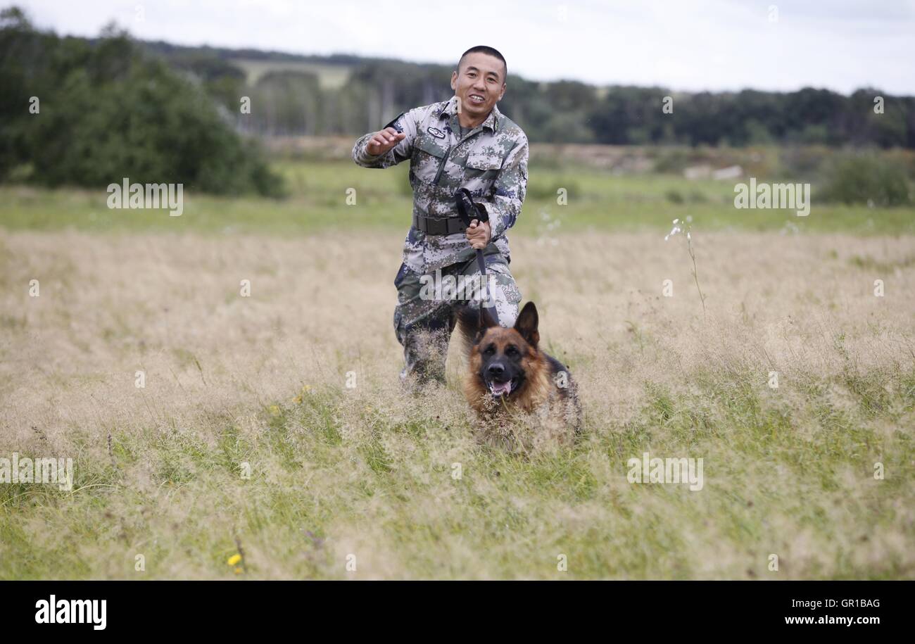 Dalian, Dalian, Chine. Sep 6, 2016. Dalian, Chine- ?6 Septembre 2016 : ?(EDITORIAL ?utiliser ?SEULEMENT. ?CHINE ?OUT) .Zhang Xiaolin, un soldat dans le nord-est de la Chine Â.s la province de Heilongjiang, a formé les chiens militaires pendant 23 ans. Comme un soldat expérimenté, Zhang a formé plus de 20 chiens militaires et formé plus de 2 000 soldats dans l'armée. © SIPA Asie/ZUMA/Alamy Fil Live News Banque D'Images Dalian, Dalian, Chine. Sep 6, 2016. Dalian, Chine- ?6 Septembre 2016 : ?(EDITORIAL ?utiliser ?SEULEMENT. ?CHINE ?OUT) .Zhang Xiaolin, un soldat dans le nord-est de la Chine Â.s la province de Heilongjiang, a formé les chiens militaires pendant 23 ans. Comme un soldat expérimenté, Zhang a formé plus de 20 chiens militaires et formé plus de 2 000 soldats dans l'armée. © SIPA Asie/ZUMA/Alamy Fil Live News Banque D'Images