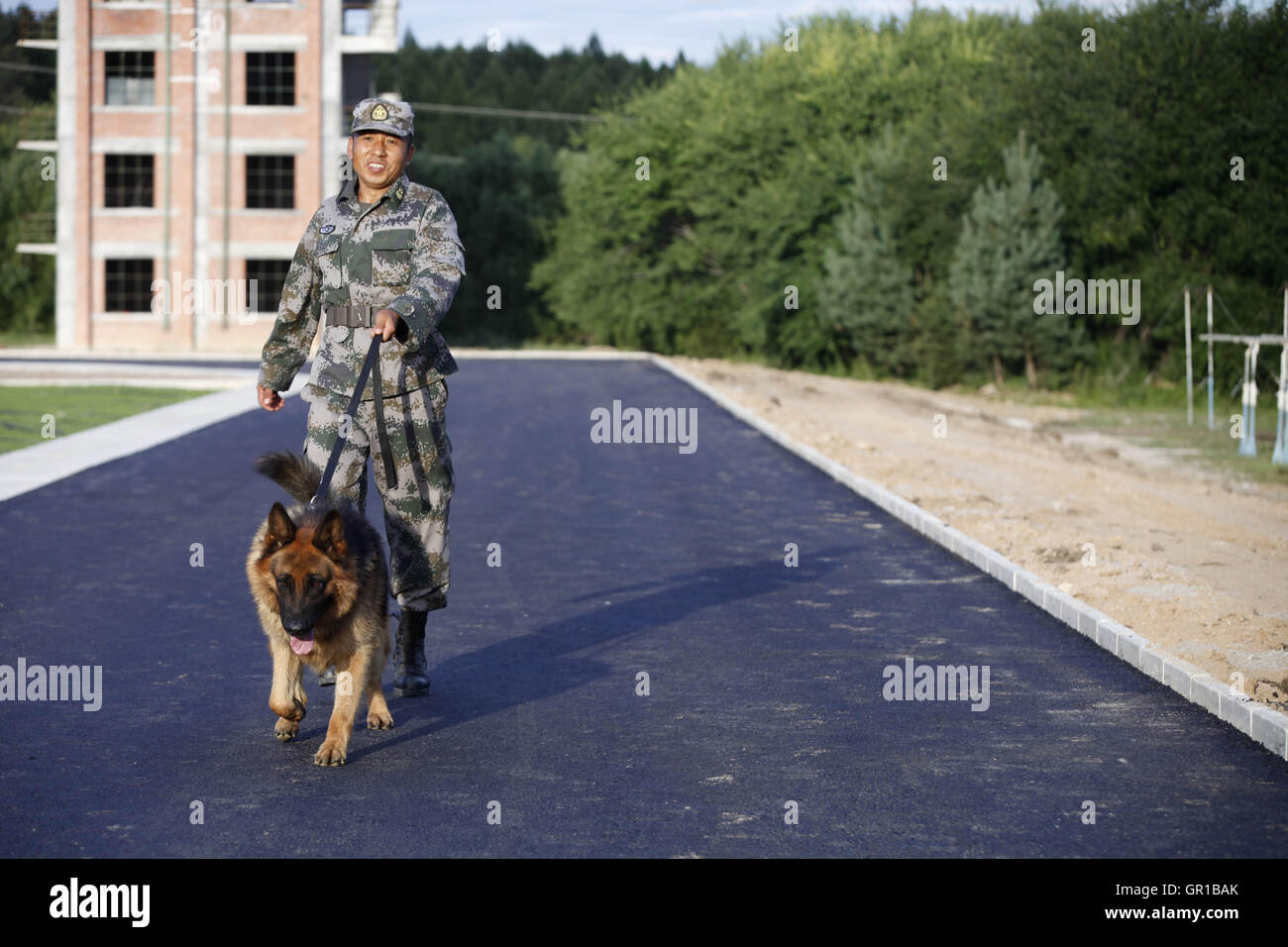Dalian, Dalian, Chine. Sep 6, 2016. Dalian, Chine- ?6 Septembre 2016 : ?(EDITORIAL ?utiliser ?SEULEMENT. ?CHINE ?OUT) .Zhang Xiaolin, un soldat dans le nord-est de la Chine Â.s la province de Heilongjiang, a formé les chiens militaires pendant 23 ans. Comme un soldat expérimenté, Zhang a formé plus de 20 chiens militaires et formé plus de 2 000 soldats dans l'armée. © SIPA Asie/ZUMA/Alamy Fil Live News Banque D'Images Dalian, Dalian, Chine. Sep 6, 2016. Dalian, Chine- ?6 Septembre 2016 : ?(EDITORIAL ?utiliser ?SEULEMENT. ?CHINE ?OUT) .Zhang Xiaolin, un soldat dans le nord-est de la Chine Â.s la province de Heilongjiang, a formé les chiens militaires pendant 23 ans. Comme un soldat expérimenté, Zhang a formé plus de 20 chiens militaires et formé plus de 2 000 soldats dans l'armée. © SIPA Asie/ZUMA/Alamy Fil Live News Banque D'Images