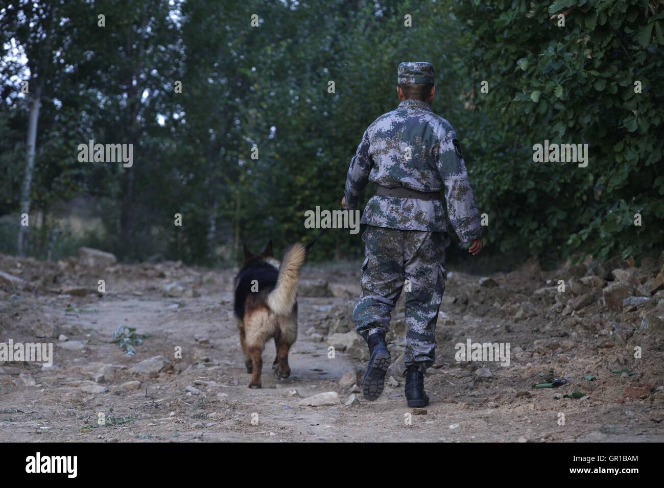 Dalian, Dalian, Chine. Sep 6, 2016. Dalian, Chine- ?6 Septembre 2016 : ?(EDITORIAL ?utiliser ?SEULEMENT. ?CHINE ?OUT) .Zhang Xiaolin, un soldat dans le nord-est de la Chine Â.s la province de Heilongjiang, a formé les chiens militaires pendant 23 ans. Comme un soldat expérimenté, Zhang a formé plus de 20 chiens militaires et formé plus de 2 000 soldats dans l'armée. © SIPA Asie/ZUMA/Alamy Fil Live News Banque D'Images Dalian, Dalian, Chine. Sep 6, 2016. Dalian, Chine- ?6 Septembre 2016 : ?(EDITORIAL ?utiliser ?SEULEMENT. ?CHINE ?OUT) .Zhang Xiaolin, un soldat dans le nord-est de la Chine Â.s la province de Heilongjiang, a formé les chiens militaires pendant 23 ans. Comme un soldat expérimenté, Zhang a formé plus de 20 chiens militaires et formé plus de 2 000 soldats dans l'armée. © SIPA Asie/ZUMA/Alamy Fil Live News Banque D'Images
