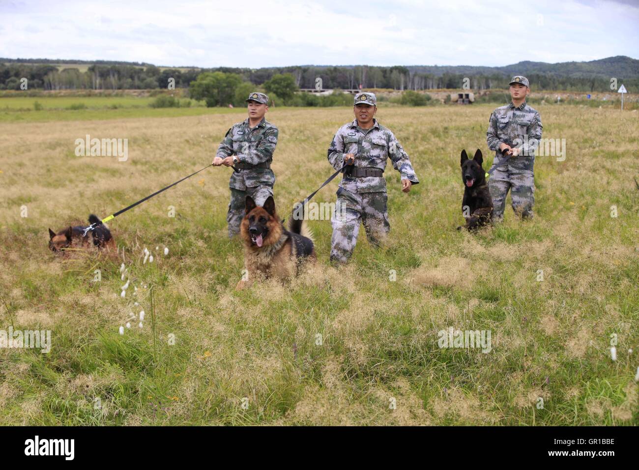 6 septembre 2016 - Dalian, Dalian, Chine - Dalian, Chine- ?6 Septembre 2016 : ?(EDITORIAL ?utiliser ?SEULEMENT. ?CHINE ?OUT) ..Zhang Xiaolin, un soldat dans le nord-est de la Chine Â.s la province de Heilongjiang, a formé les chiens militaires pendant 23 ans. Comme un soldat expérimenté, Zhang a formé plus de 20 chiens militaires et formé plus de 2 000 soldats dans l'armée. (Crédit Image : © SIPA l'Asie via Zuma sur le fil) Banque D'Images 6 septembre 2016 - Dalian, Dalian, Chine - Dalian, Chine- ?6 Septembre 2016 : ?(EDITORIAL ?utiliser ?SEULEMENT. ?CHINE ?OUT) ..Zhang Xiaolin, un soldat dans le nord-est de la Chine Â.s la province de Heilongjiang, a formé les chiens militaires pendant 23 ans. Comme un soldat expérimenté, Zhang a formé plus de 20 chiens militaires et formé plus de 2 000 soldats dans l'armée. (Crédit Image : © SIPA l'Asie via Zuma sur le fil) Banque D'Images