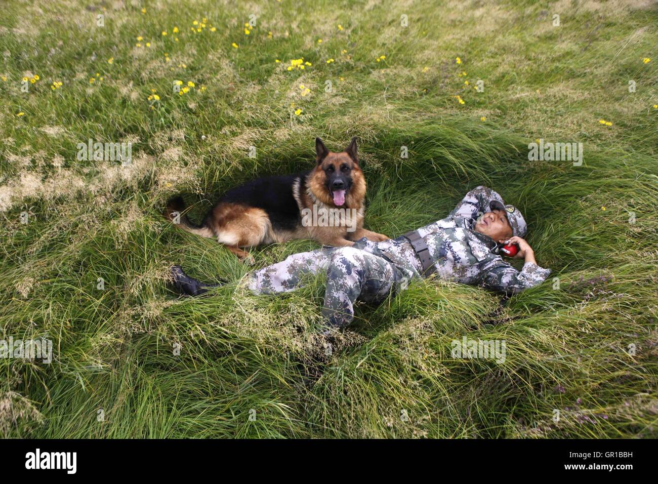 6 septembre 2016 - Dalian, Dalian, Chine - Dalian, Chine- ?6 Septembre 2016 : ?(EDITORIAL ?utiliser ?SEULEMENT. ?CHINE ?OUT) ..Zhang Xiaolin, un soldat dans le nord-est de la Chine Â.s la province de Heilongjiang, a formé les chiens militaires pendant 23 ans. Comme un soldat expérimenté, Zhang a formé plus de 20 chiens militaires et formé plus de 2 000 soldats dans l'armée. (Crédit Image : © SIPA l'Asie via Zuma sur le fil) Banque D'Images 6 septembre 2016 - Dalian, Dalian, Chine - Dalian, Chine- ?6 Septembre 2016 : ?(EDITORIAL ?utiliser ?SEULEMENT. ?CHINE ?OUT) ..Zhang Xiaolin, un soldat dans le nord-est de la Chine Â.s la province de Heilongjiang, a formé les chiens militaires pendant 23 ans. Comme un soldat expérimenté, Zhang a formé plus de 20 chiens militaires et formé plus de 2 000 soldats dans l'armée. (Crédit Image : © SIPA l'Asie via Zuma sur le fil) Banque D'Images