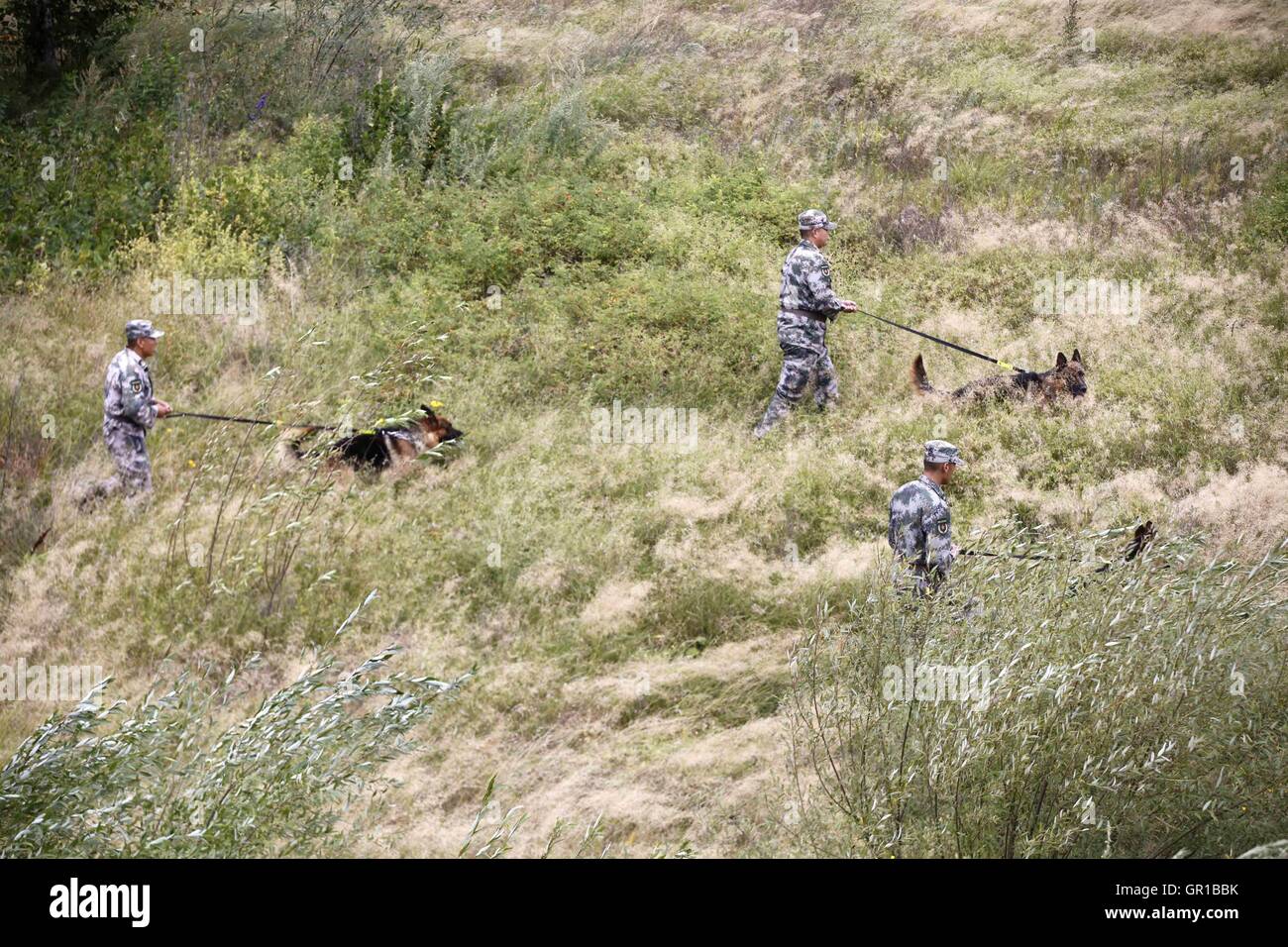 6 septembre 2016 - Dalian, Dalian, Chine - Dalian, Chine- ?6 Septembre 2016 : ?(EDITORIAL ?utiliser ?SEULEMENT. ?CHINE ?OUT) ..Zhang Xiaolin, un soldat dans le nord-est de la Chine Â.s la province de Heilongjiang, a formé les chiens militaires pendant 23 ans. Comme un soldat expérimenté, Zhang a formé plus de 20 chiens militaires et formé plus de 2 000 soldats dans l'armée. (Crédit Image : © SIPA l'Asie via Zuma sur le fil) Banque D'Images 6 septembre 2016 - Dalian, Dalian, Chine - Dalian, Chine- ?6 Septembre 2016 : ?(EDITORIAL ?utiliser ?SEULEMENT. ?CHINE ?OUT) ..Zhang Xiaolin, un soldat dans le nord-est de la Chine Â.s la province de Heilongjiang, a formé les chiens militaires pendant 23 ans. Comme un soldat expérimenté, Zhang a formé plus de 20 chiens militaires et formé plus de 2 000 soldats dans l'armée. (Crédit Image : © SIPA l'Asie via Zuma sur le fil) Banque D'Images