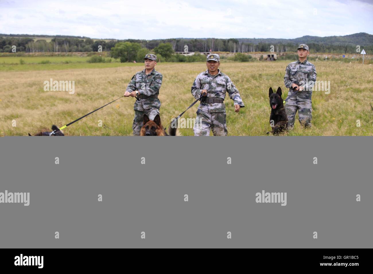 6 septembre 2016 - Dalian, Dalian, Chine - Dalian, Chine- ?6 Septembre 2016 : ?(EDITORIAL ?utiliser ?SEULEMENT. ?CHINE ?OUT) ..Zhang Xiaolin, un soldat dans le nord-est de la Chine Â.s la province de Heilongjiang, a formé les chiens militaires pendant 23 ans. Comme un soldat expérimenté, Zhang a formé plus de 20 chiens militaires et formé plus de 2 000 soldats dans l'armée. (Crédit Image : © SIPA l'Asie via Zuma sur le fil) Banque D'Images 6 septembre 2016 - Dalian, Dalian, Chine - Dalian, Chine- ?6 Septembre 2016 : ?(EDITORIAL ?utiliser ?SEULEMENT. ?CHINE ?OUT) ..Zhang Xiaolin, un soldat dans le nord-est de la Chine Â.s la province de Heilongjiang, a formé les chiens militaires pendant 23 ans. Comme un soldat expérimenté, Zhang a formé plus de 20 chiens militaires et formé plus de 2 000 soldats dans l'armée. (Crédit Image : © SIPA l'Asie via Zuma sur le fil) Banque D'Images
