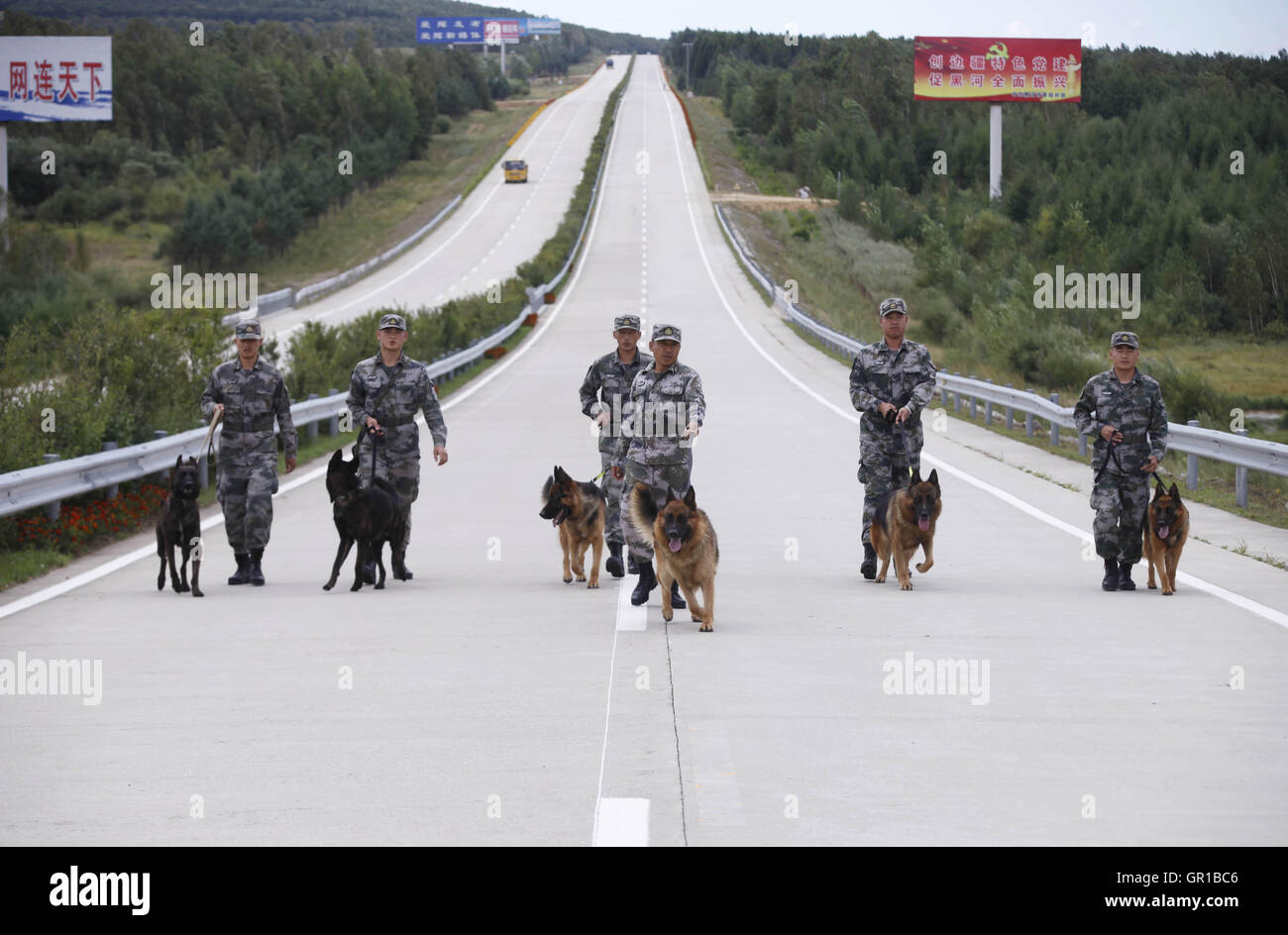 6 septembre 2016 - Dalian, Dalian, Chine - Dalian, Chine- ?6 Septembre 2016 : ?(EDITORIAL ?utiliser ?SEULEMENT. ?CHINE ?OUT) ..Zhang Xiaolin, un soldat dans le nord-est de la Chine Â.s la province de Heilongjiang, a formé les chiens militaires pendant 23 ans. Comme un soldat expérimenté, Zhang a formé plus de 20 chiens militaires et formé plus de 2 000 soldats dans l'armée. (Crédit Image : © SIPA l'Asie via Zuma sur le fil) Banque D'Images 6 septembre 2016 - Dalian, Dalian, Chine - Dalian, Chine- ?6 Septembre 2016 : ?(EDITORIAL ?utiliser ?SEULEMENT. ?CHINE ?OUT) ..Zhang Xiaolin, un soldat dans le nord-est de la Chine Â.s la province de Heilongjiang, a formé les chiens militaires pendant 23 ans. Comme un soldat expérimenté, Zhang a formé plus de 20 chiens militaires et formé plus de 2 000 soldats dans l'armée. (Crédit Image : © SIPA l'Asie via Zuma sur le fil) Banque D'Images