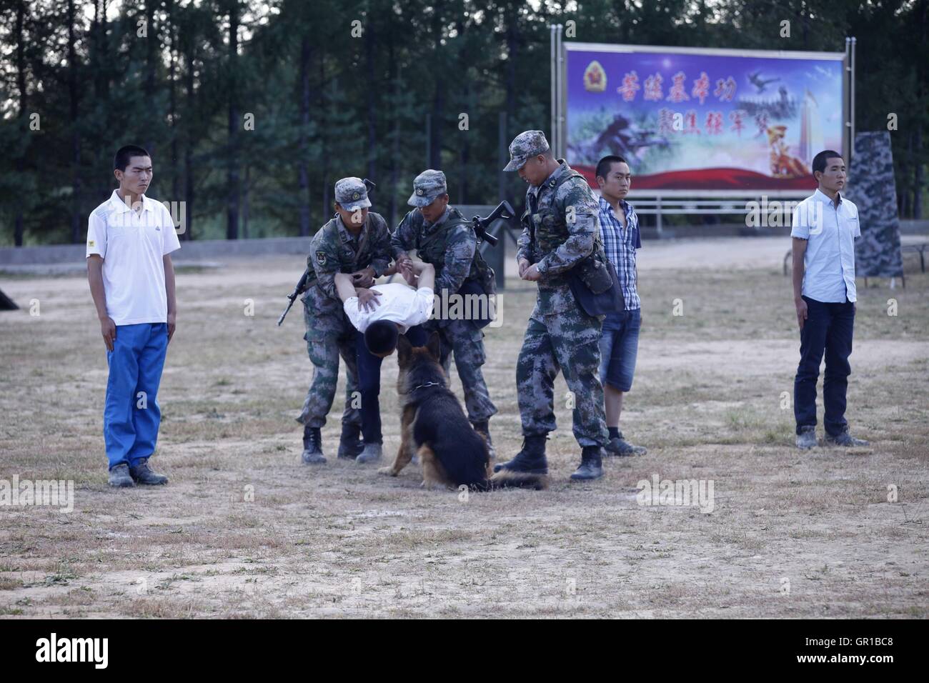 6 septembre 2016 - Dalian, Dalian, Chine - Dalian, Chine- ?6 Septembre 2016 : ?(EDITORIAL ?utiliser ?SEULEMENT. ?CHINE ?OUT) ..Zhang Xiaolin, un soldat dans le nord-est de la Chine Â.s la province de Heilongjiang, a formé les chiens militaires pendant 23 ans. Comme un soldat expérimenté, Zhang a formé plus de 20 chiens militaires et formé plus de 2 000 soldats dans l'armée. (Crédit Image : © SIPA l'Asie via Zuma sur le fil) Banque D'Images 6 septembre 2016 - Dalian, Dalian, Chine - Dalian, Chine- ?6 Septembre 2016 : ?(EDITORIAL ?utiliser ?SEULEMENT. ?CHINE ?OUT) ..Zhang Xiaolin, un soldat dans le nord-est de la Chine Â.s la province de Heilongjiang, a formé les chiens militaires pendant 23 ans. Comme un soldat expérimenté, Zhang a formé plus de 20 chiens militaires et formé plus de 2 000 soldats dans l'armée. (Crédit Image : © SIPA l'Asie via Zuma sur le fil) Banque D'Images