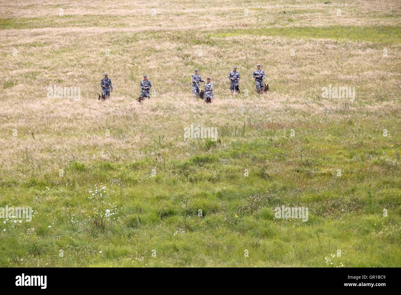 6 septembre 2016 - Dalian, Dalian, Chine - Dalian, Chine- ?6 Septembre 2016 : ?(EDITORIAL ?utiliser ?SEULEMENT. ?CHINE ?OUT) ..Zhang Xiaolin, un soldat dans le nord-est de la Chine Â.s la province de Heilongjiang, a formé les chiens militaires pendant 23 ans. Comme un soldat expérimenté, Zhang a formé plus de 20 chiens militaires et formé plus de 2 000 soldats dans l'armée. (Crédit Image : © SIPA l'Asie via Zuma sur le fil) Banque D'Images 6 septembre 2016 - Dalian, Dalian, Chine - Dalian, Chine- ?6 Septembre 2016 : ?(EDITORIAL ?utiliser ?SEULEMENT. ?CHINE ?OUT) ..Zhang Xiaolin, un soldat dans le nord-est de la Chine Â.s la province de Heilongjiang, a formé les chiens militaires pendant 23 ans. Comme un soldat expérimenté, Zhang a formé plus de 20 chiens militaires et formé plus de 2 000 soldats dans l'armée. (Crédit Image : © SIPA l'Asie via Zuma sur le fil) Banque D'Images