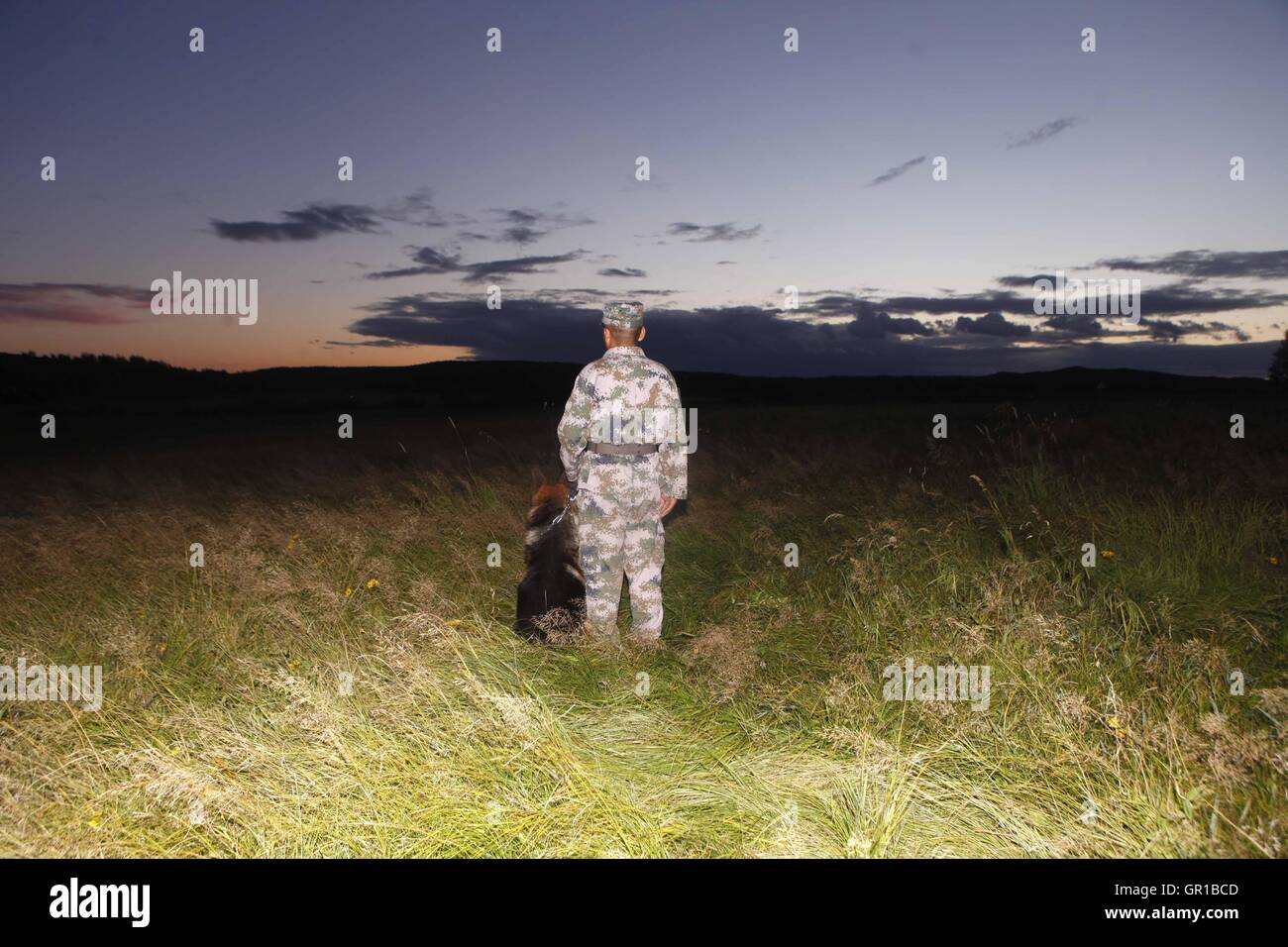 6 septembre 2016 - Dalian, Dalian, Chine - Dalian, Chine- ?6 Septembre 2016 : ?(EDITORIAL ?utiliser ?SEULEMENT. ?CHINE ?OUT) ..Zhang Xiaolin, un soldat dans le nord-est de la Chine Â.s la province de Heilongjiang, a formé les chiens militaires pendant 23 ans. Comme un soldat expérimenté, Zhang a formé plus de 20 chiens militaires et formé plus de 2 000 soldats dans l'armée. (Crédit Image : © SIPA l'Asie via Zuma sur le fil) Banque D'Images 6 septembre 2016 - Dalian, Dalian, Chine - Dalian, Chine- ?6 Septembre 2016 : ?(EDITORIAL ?utiliser ?SEULEMENT. ?CHINE ?OUT) ..Zhang Xiaolin, un soldat dans le nord-est de la Chine Â.s la province de Heilongjiang, a formé les chiens militaires pendant 23 ans. Comme un soldat expérimenté, Zhang a formé plus de 20 chiens militaires et formé plus de 2 000 soldats dans l'armée. (Crédit Image : © SIPA l'Asie via Zuma sur le fil) Banque D'Images
