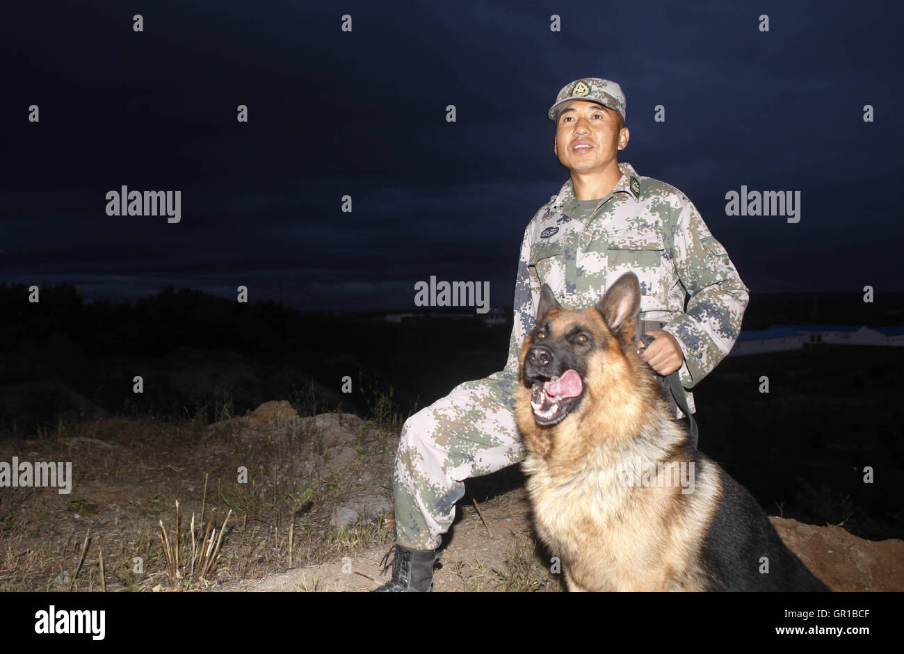 6 septembre 2016 - Dalian, Dalian, Chine - Dalian, Chine- ?6 Septembre 2016 : ?(EDITORIAL ?utiliser ?SEULEMENT. ?CHINE ?OUT) ..Zhang Xiaolin, un soldat dans le nord-est de la Chine Â.s la province de Heilongjiang, a formé les chiens militaires pendant 23 ans. Comme un soldat expérimenté, Zhang a formé plus de 20 chiens militaires et formé plus de 2 000 soldats dans l'armée. (Crédit Image : © SIPA l'Asie via Zuma sur le fil) Banque D'Images 6 septembre 2016 - Dalian, Dalian, Chine - Dalian, Chine- ?6 Septembre 2016 : ?(EDITORIAL ?utiliser ?SEULEMENT. ?CHINE ?OUT) ..Zhang Xiaolin, un soldat dans le nord-est de la Chine Â.s la province de Heilongjiang, a formé les chiens militaires pendant 23 ans. Comme un soldat expérimenté, Zhang a formé plus de 20 chiens militaires et formé plus de 2 000 soldats dans l'armée. (Crédit Image : © SIPA l'Asie via Zuma sur le fil) Banque D'Images
