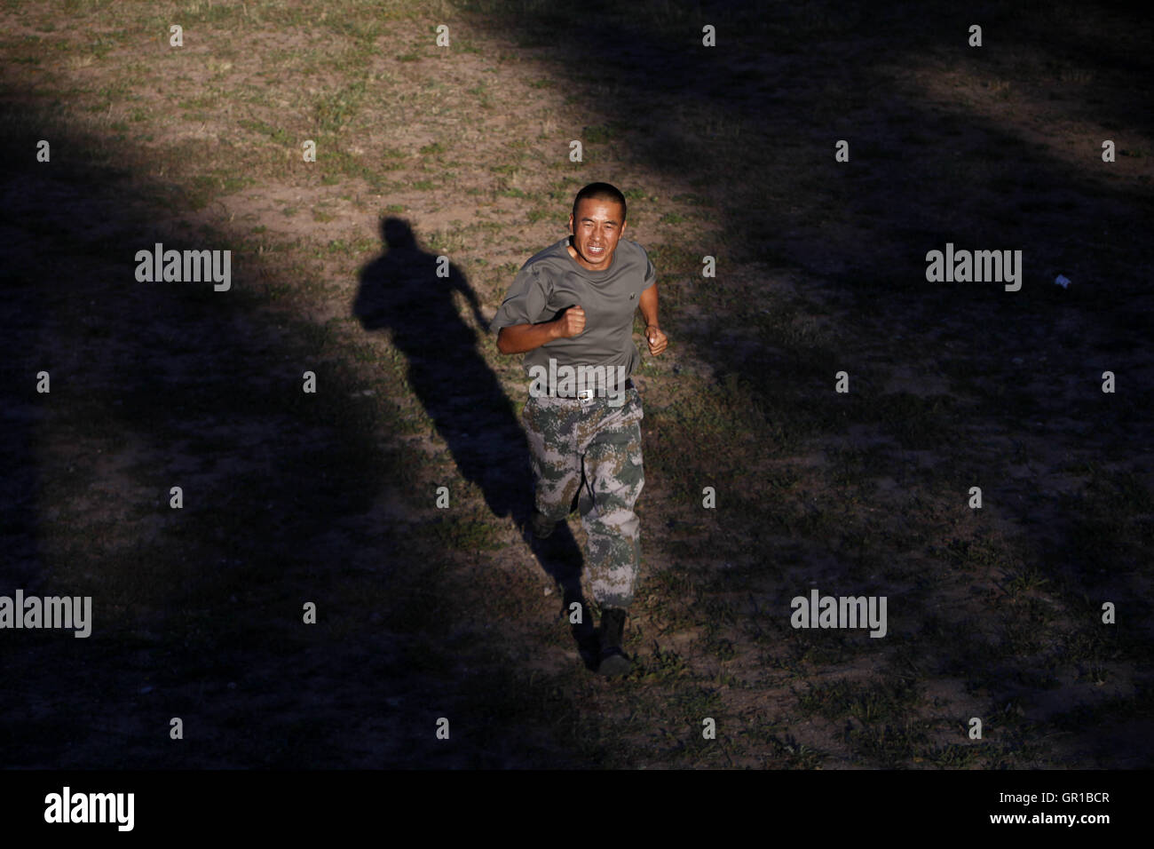 6 septembre 2016 - Dalian, Dalian, Chine - Dalian, Chine- ?6 Septembre 2016 : ?(EDITORIAL ?utiliser ?SEULEMENT. ?CHINE ?OUT) ..Zhang Xiaolin, un soldat dans le nord-est de la Chine Â.s la province de Heilongjiang, a formé les chiens militaires pendant 23 ans. Comme un soldat expérimenté, Zhang a formé plus de 20 chiens militaires et formé plus de 2 000 soldats dans l'armée. (Crédit Image : © SIPA l'Asie via Zuma sur le fil) Banque D'Images 6 septembre 2016 - Dalian, Dalian, Chine - Dalian, Chine- ?6 Septembre 2016 : ?(EDITORIAL ?utiliser ?SEULEMENT. ?CHINE ?OUT) ..Zhang Xiaolin, un soldat dans le nord-est de la Chine Â.s la province de Heilongjiang, a formé les chiens militaires pendant 23 ans. Comme un soldat expérimenté, Zhang a formé plus de 20 chiens militaires et formé plus de 2 000 soldats dans l'armée. (Crédit Image : © SIPA l'Asie via Zuma sur le fil) Banque D'Images