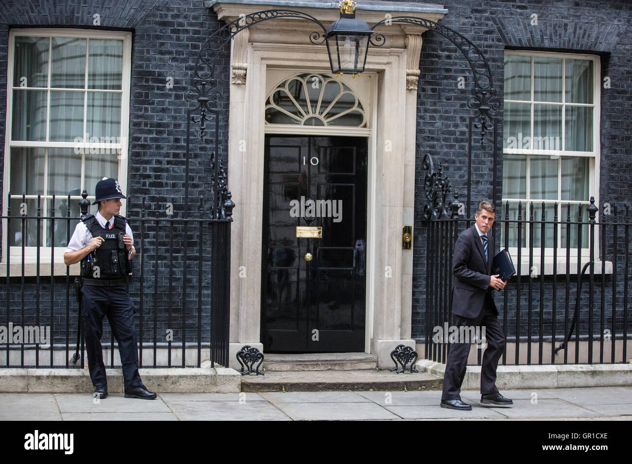 Londres, Royaume-Uni. Sep 6, 2016. Gavin Williamson, whip en chef, feuilles 10, Downing Street, à la suite d'une réunion du Cabinet. Credit : Mark Kerrison/Alamy Live News Banque D'Images