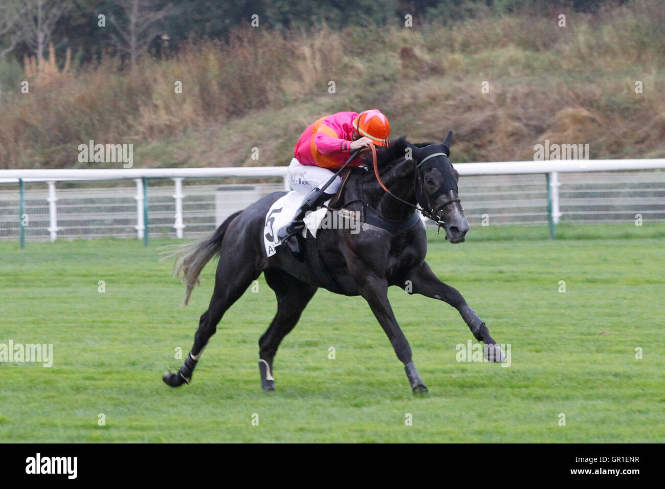 Auteuil, Route des Lacs à Paris, France. 6 Septembre, 2016. La race 8, Jean Noiret Chase. Commetoi monté par Thomas Beaurain : Action Crédit Plus Sport Images/Alamy Live News Banque D'Images