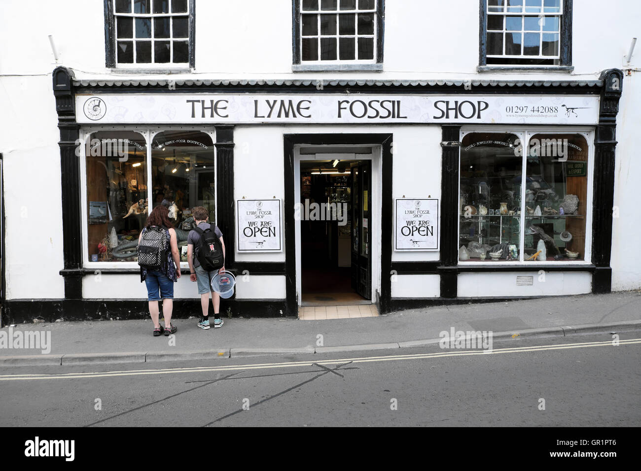 Le magasin de fossiles de lyme Banque de photographies et d images