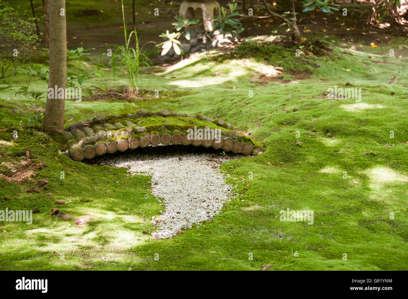 Un petit pont sur le sol couvert de mousse Banque D'Images