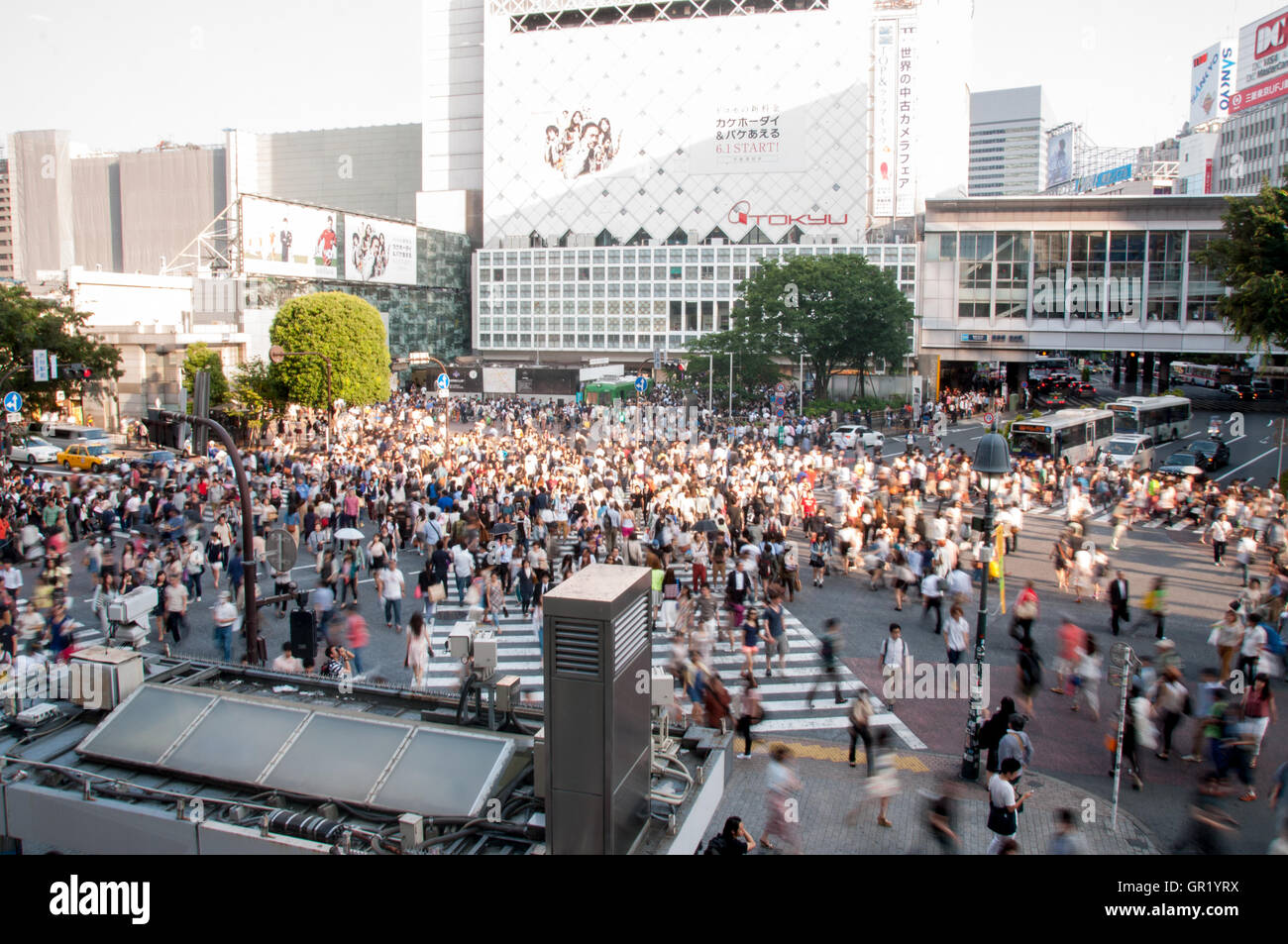 Croisement de Shibuya à Tokyo, Japon Banque D'Images