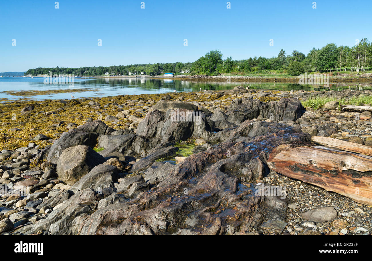 Bar Harbor Maine à marée basse dans l'été avec les rochers et les rondins au premier plan. Banque D'Images