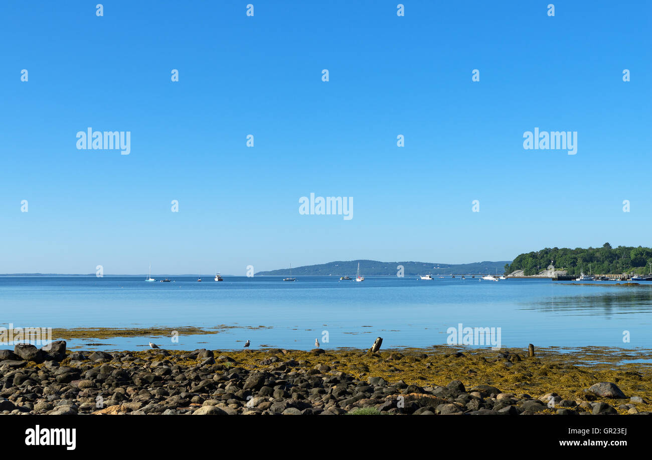 Bar Harbor Maine à marée basse dans l'été. Banque D'Images