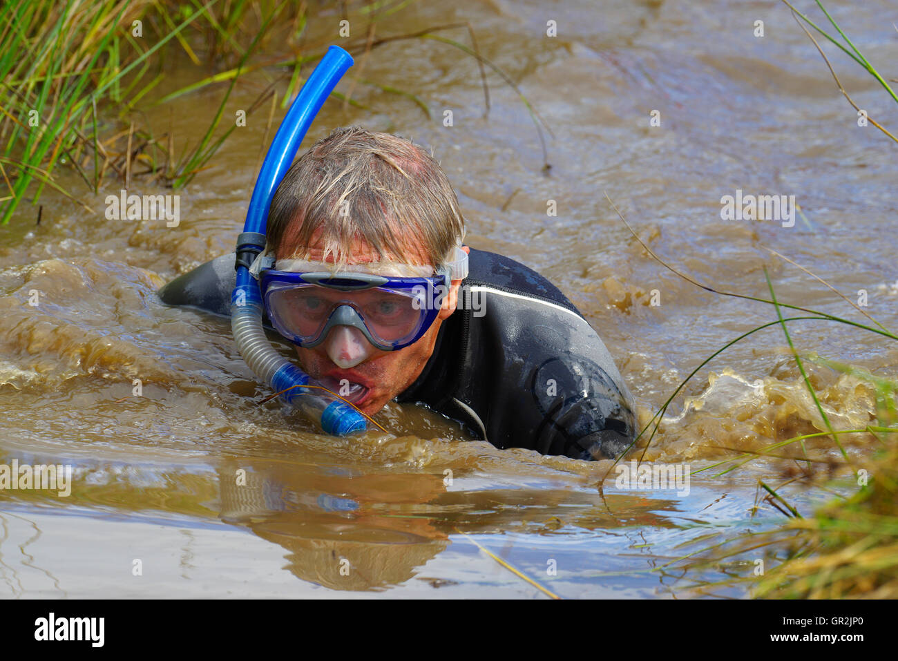 Bog Snorkeling à Llanwrtyd Wells, au Pays de Galles Banque D'Images