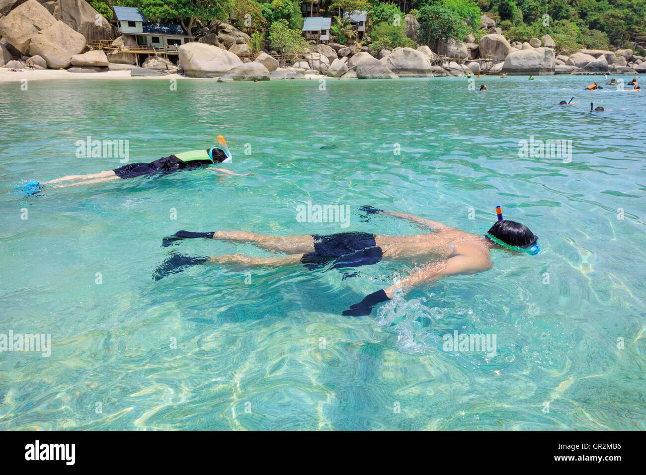 Essences tropicales asiatiques beach paradise en Thaïlande Banque D'Images