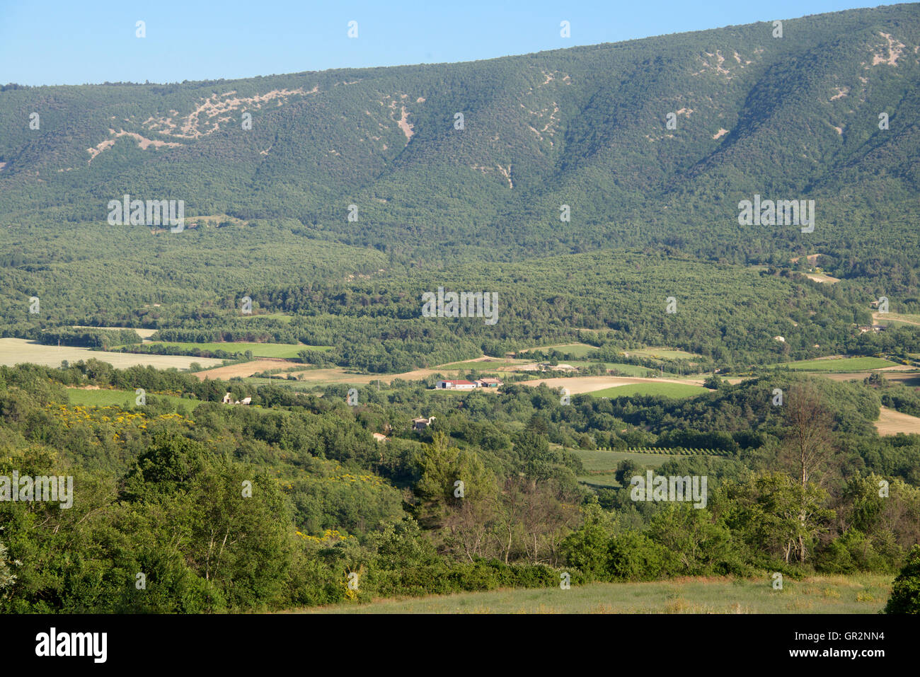 Campagne Près de Saint Martin de Castillon Luberon Provence France Banque D'Images